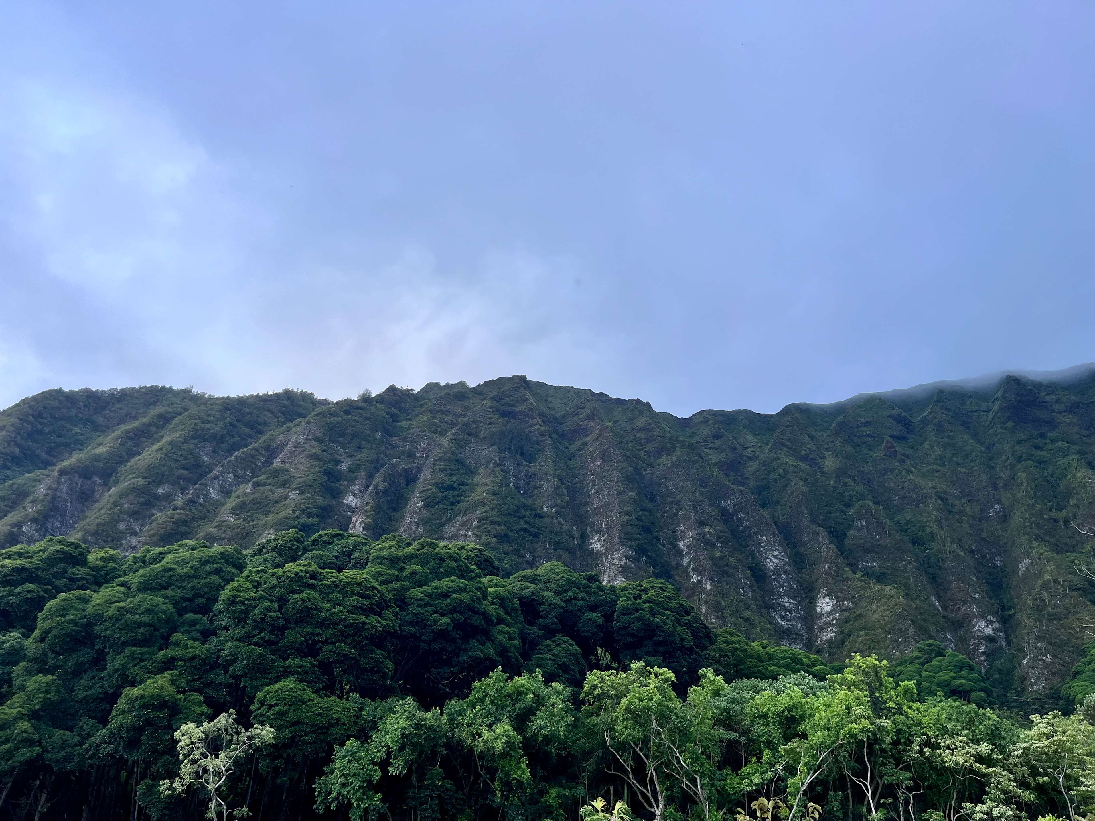 Secluded Mountain Farmstay