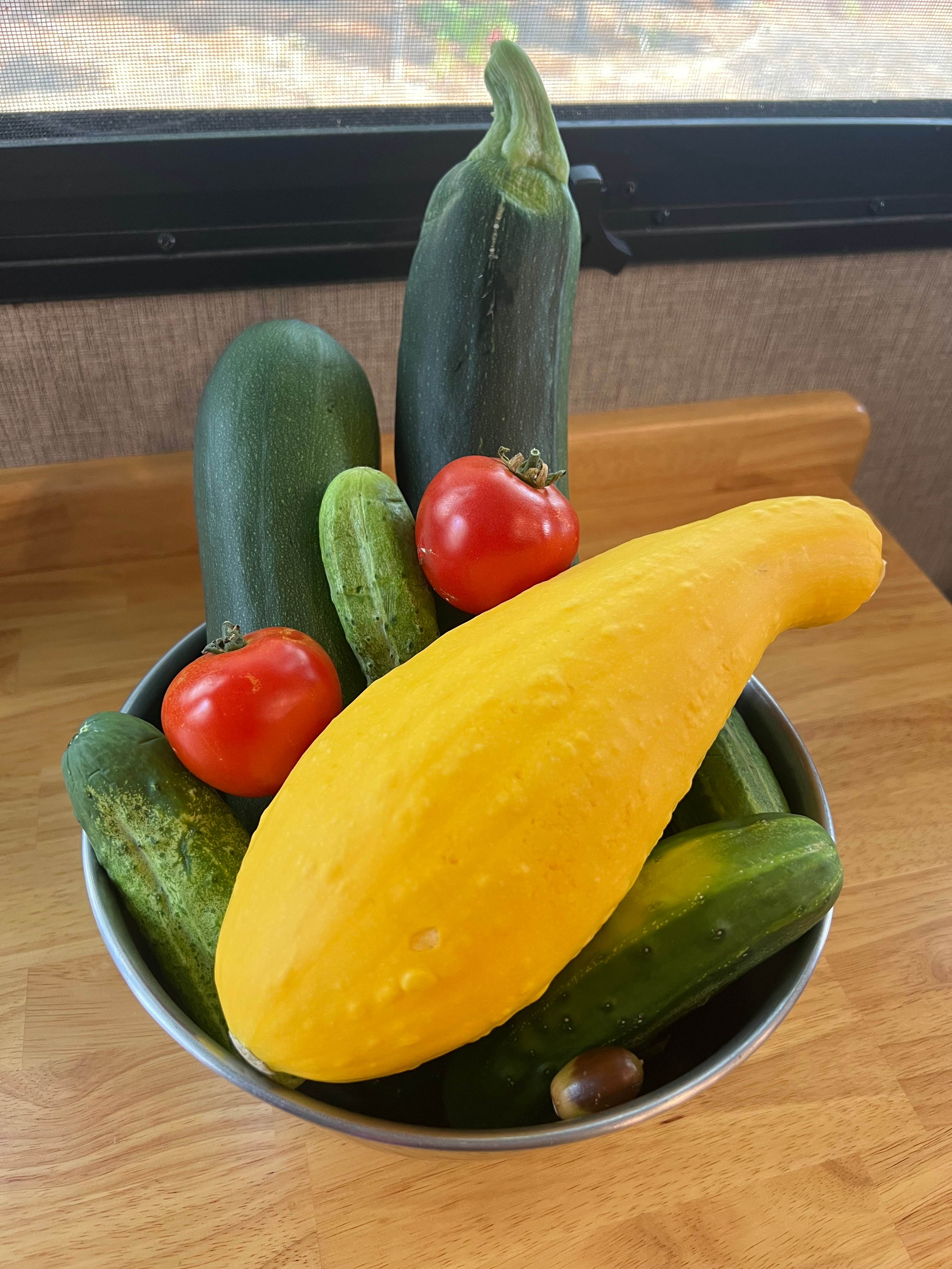 Veggies from the garden