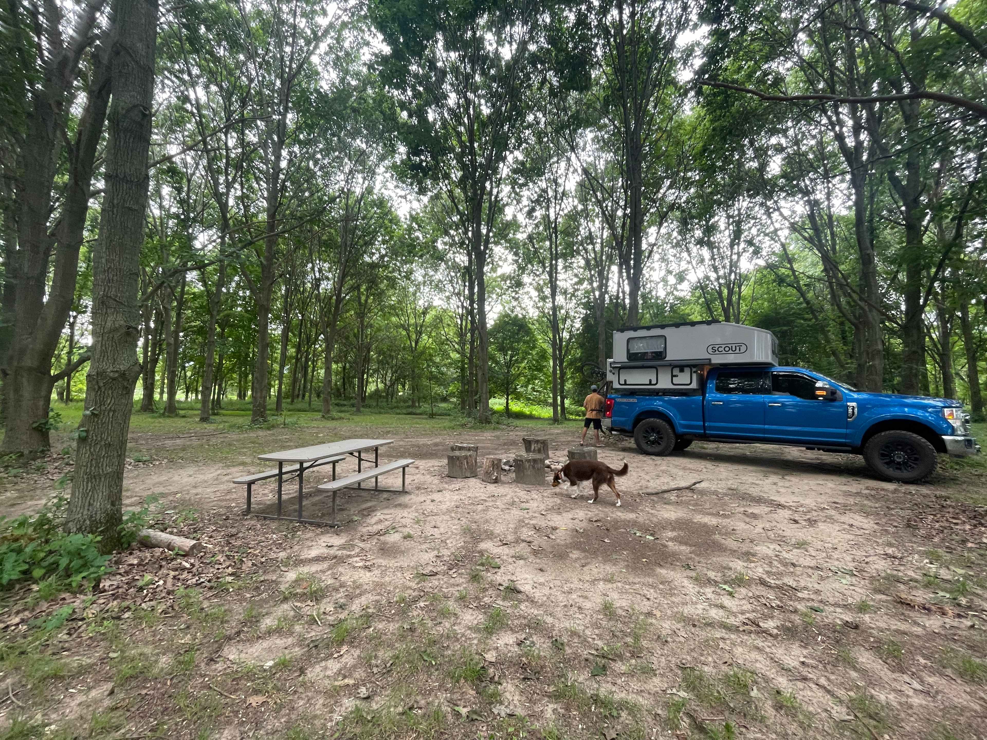 White Pine Farm HipCamping