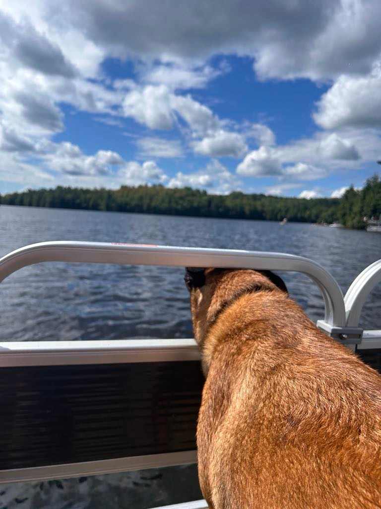 Big Rock Eco Retreat & Campgrounds