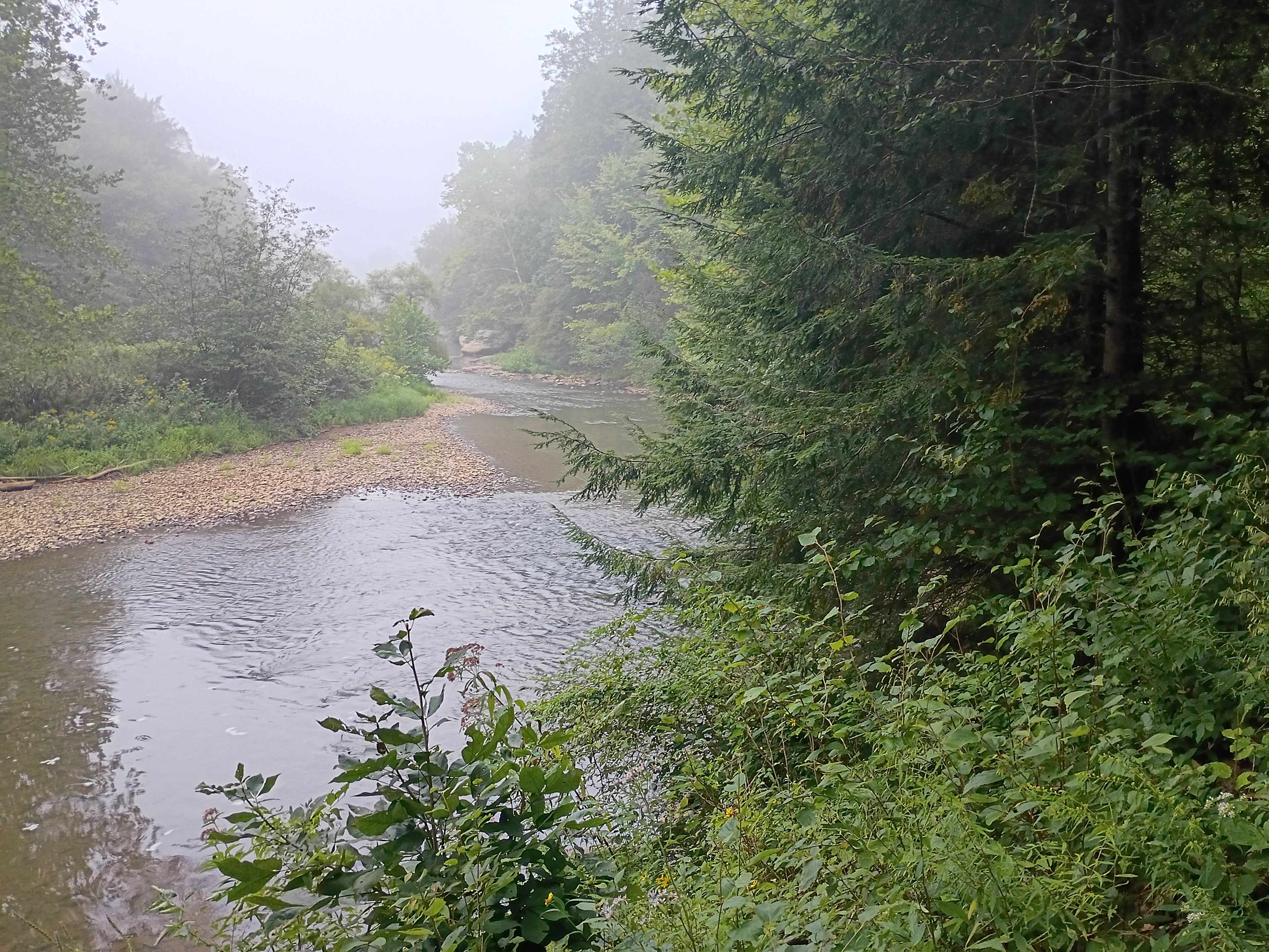 The Nest - Creekfront Cabin In ANF