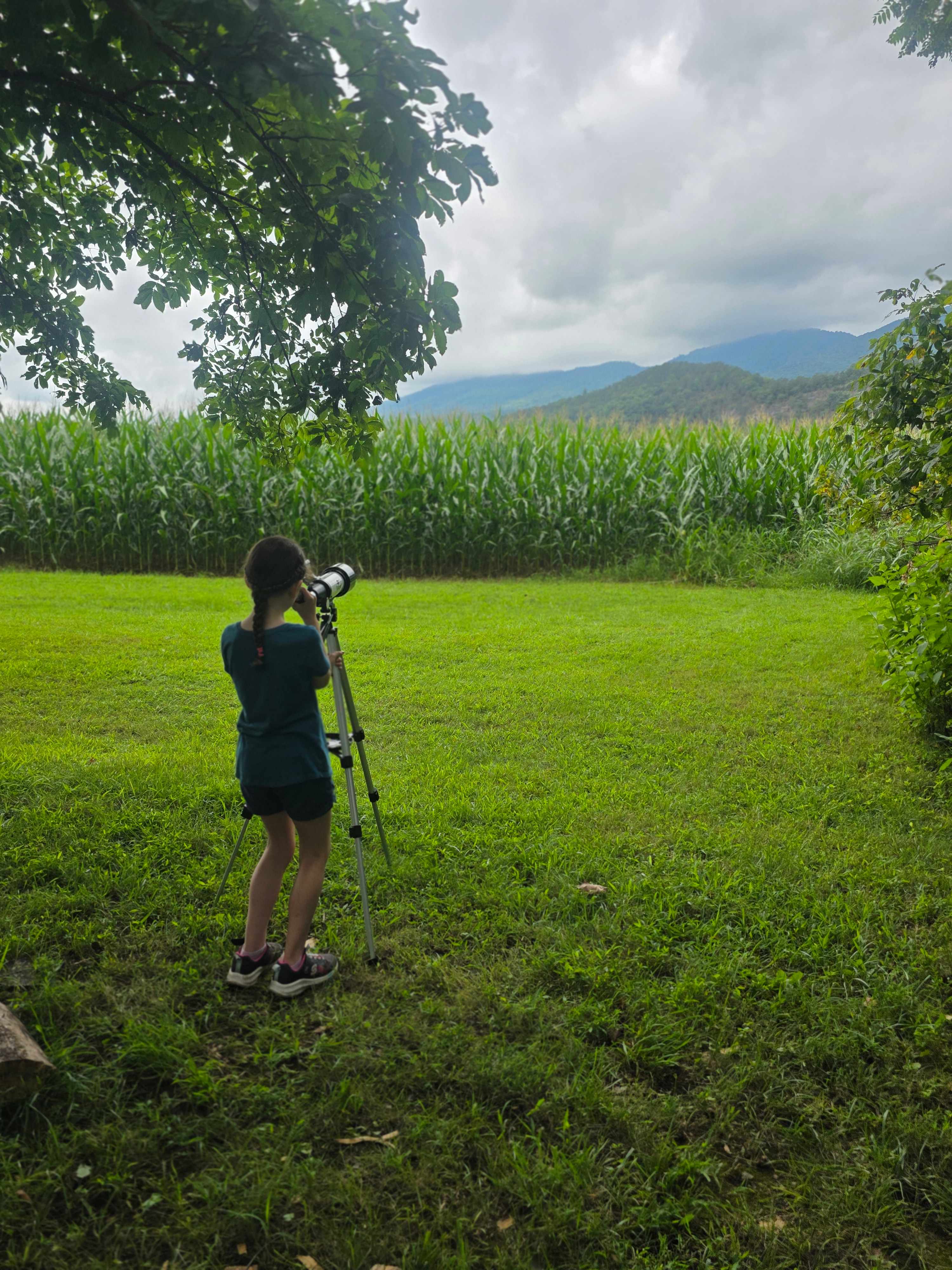 Camping in the shade on the river