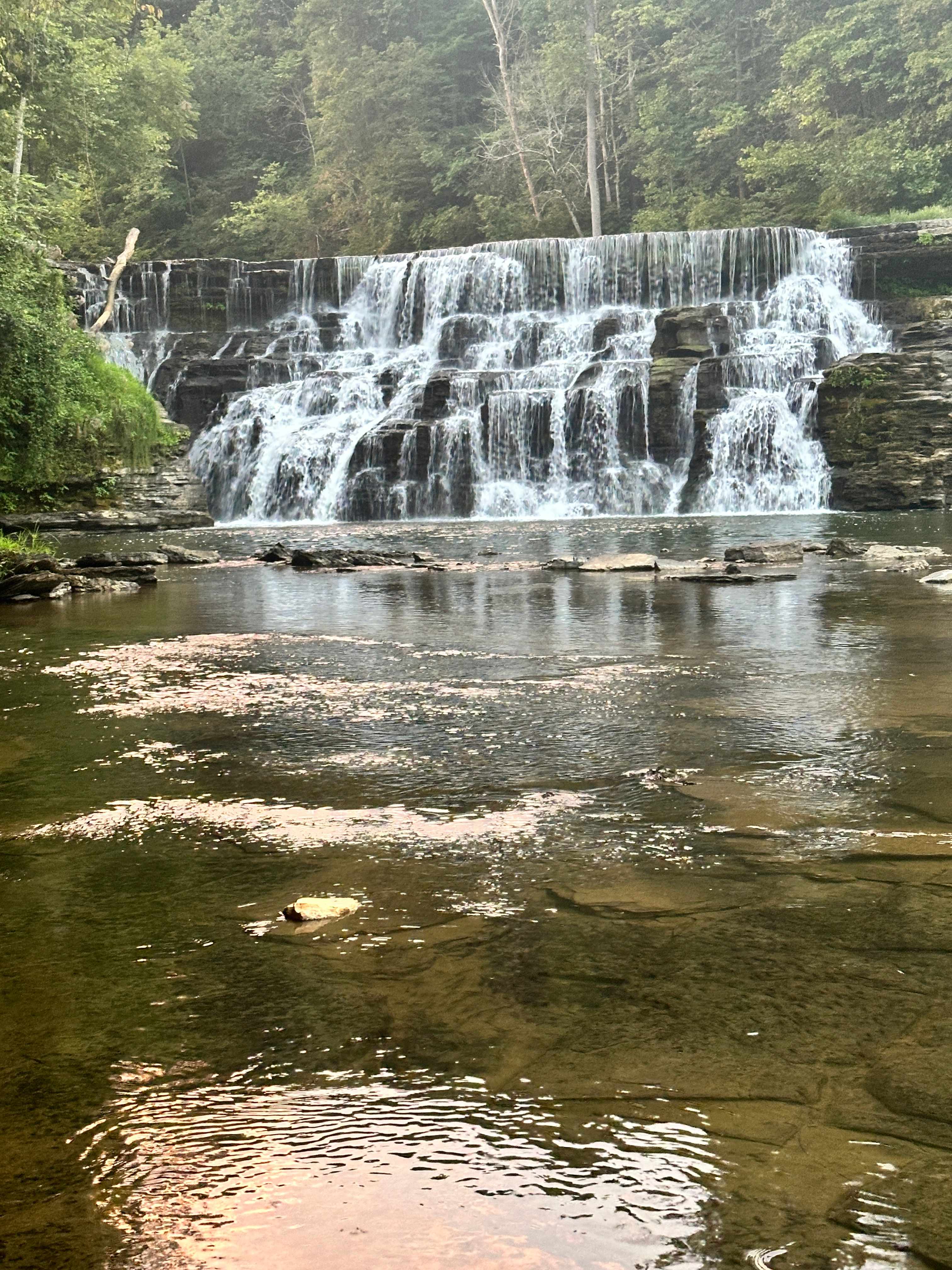 Waterloo Falls