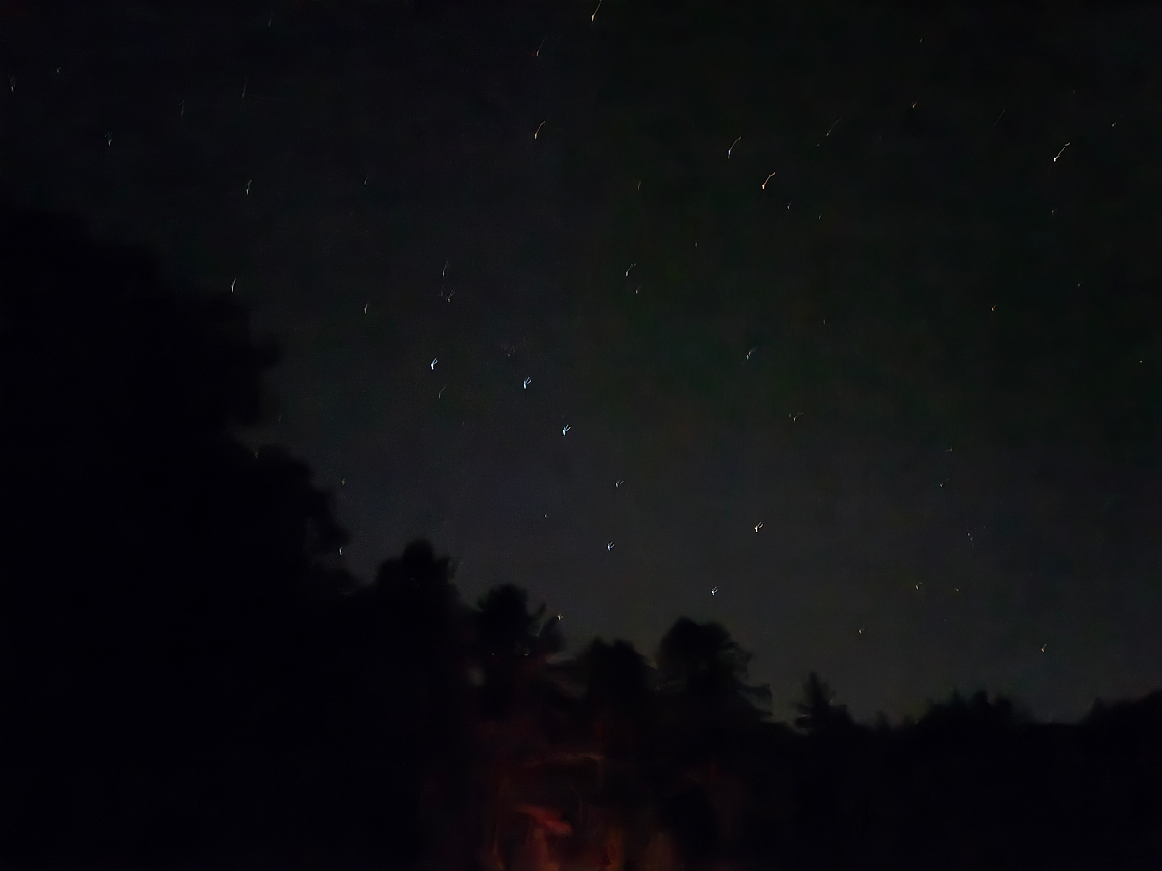 Stars from the field