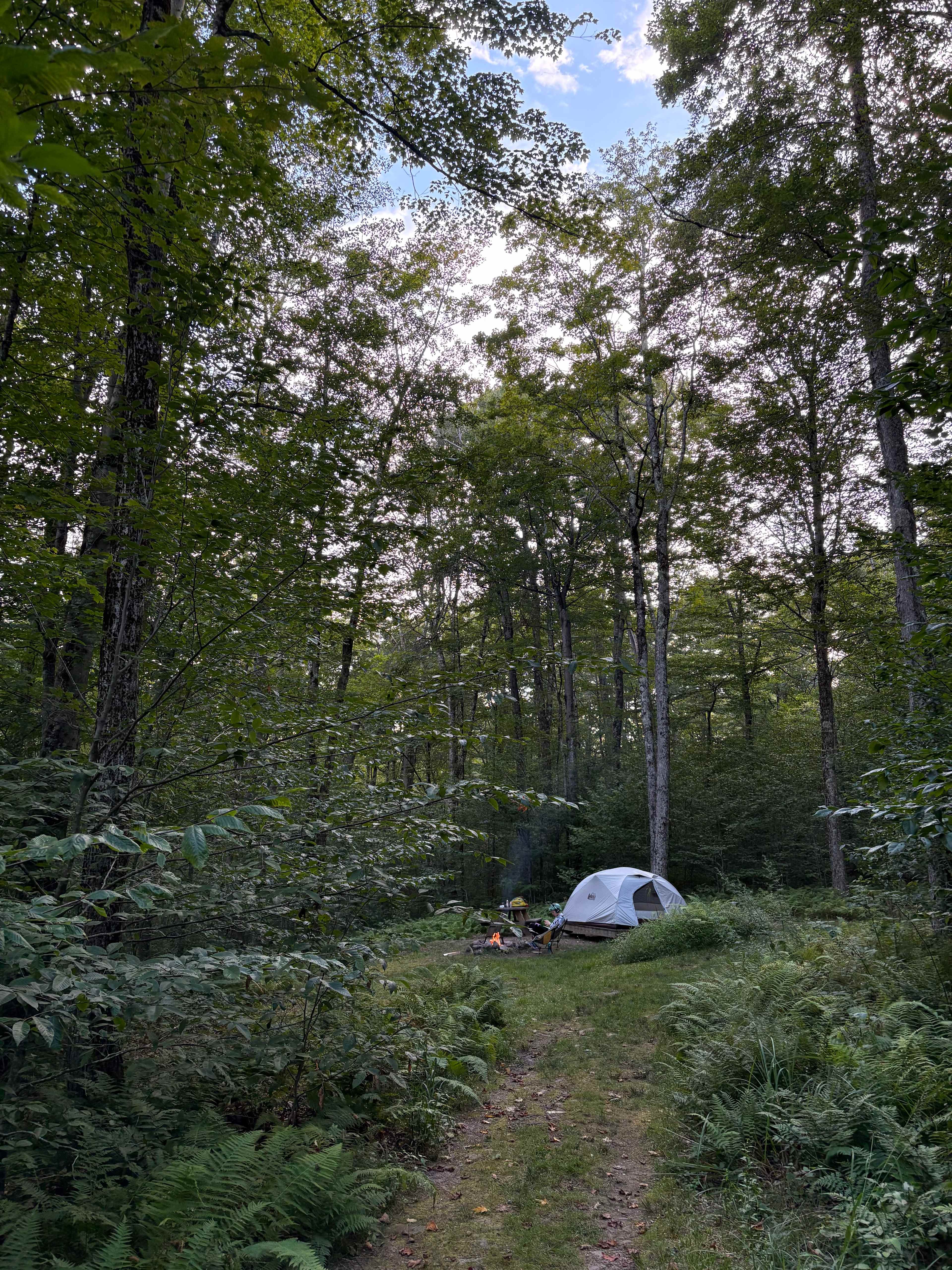 Burr Oaks Forest secluded campsites