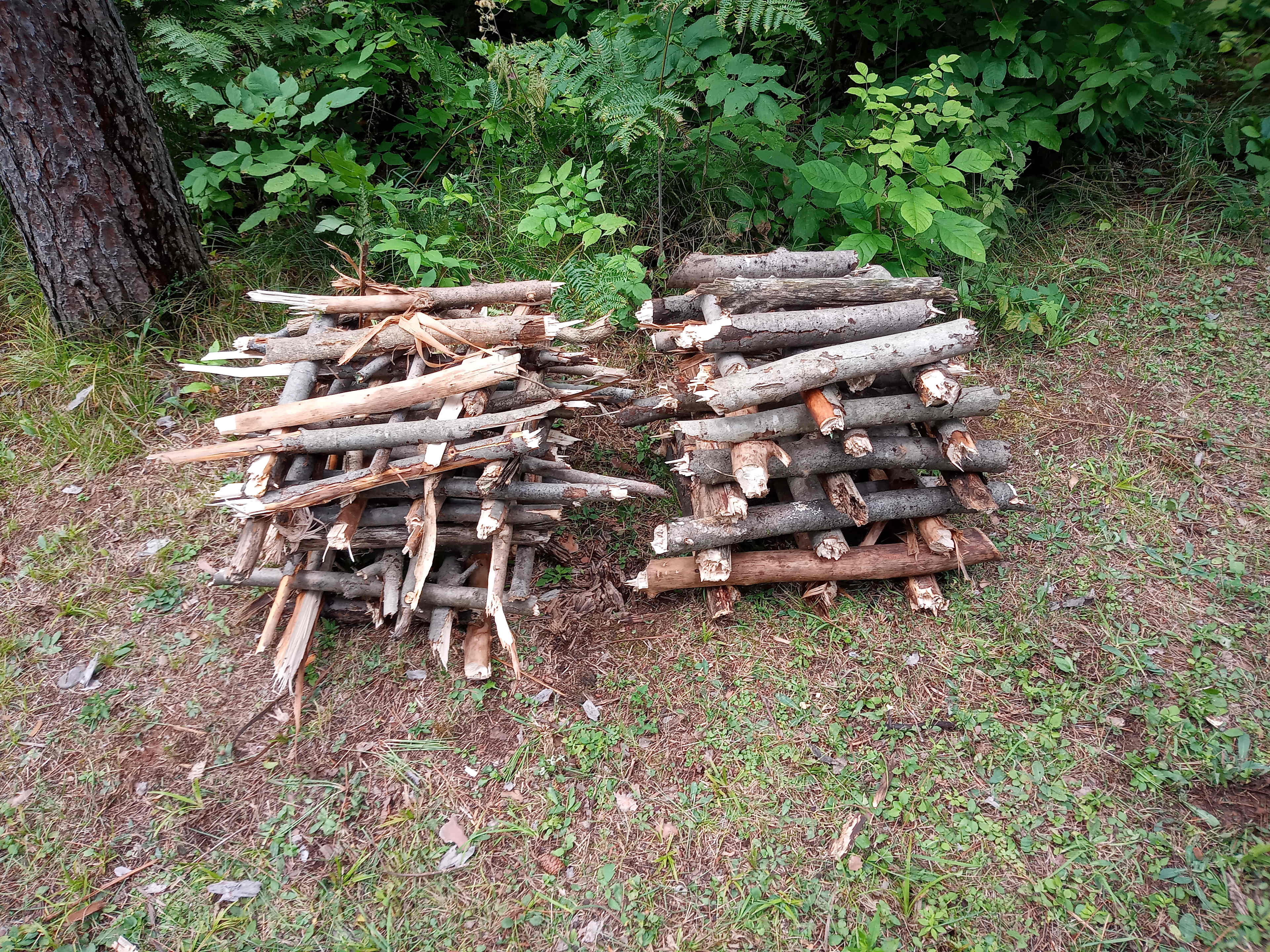 Scavenged Wood stacked to dry out