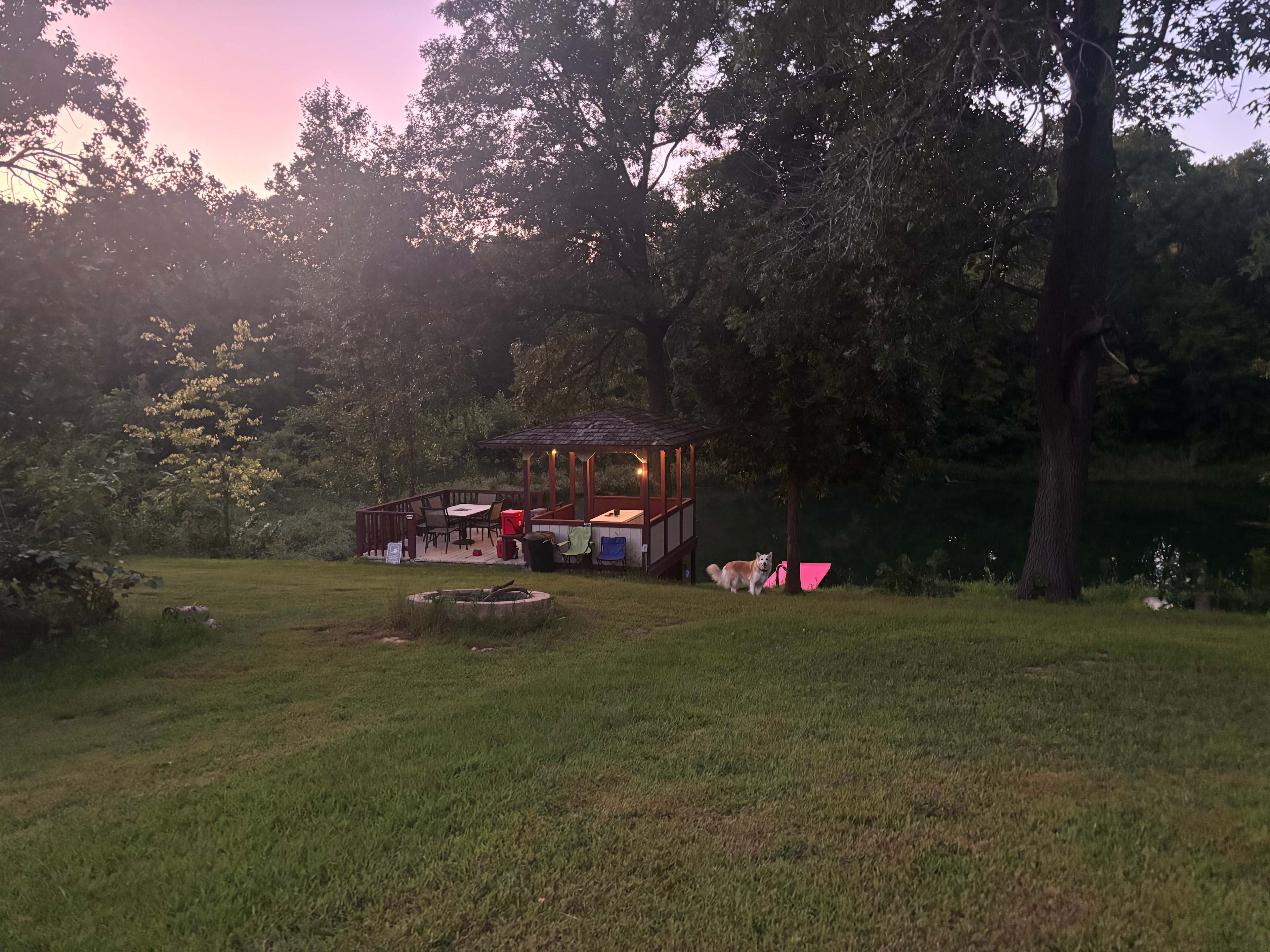 Honey Bee & Bee Homestead