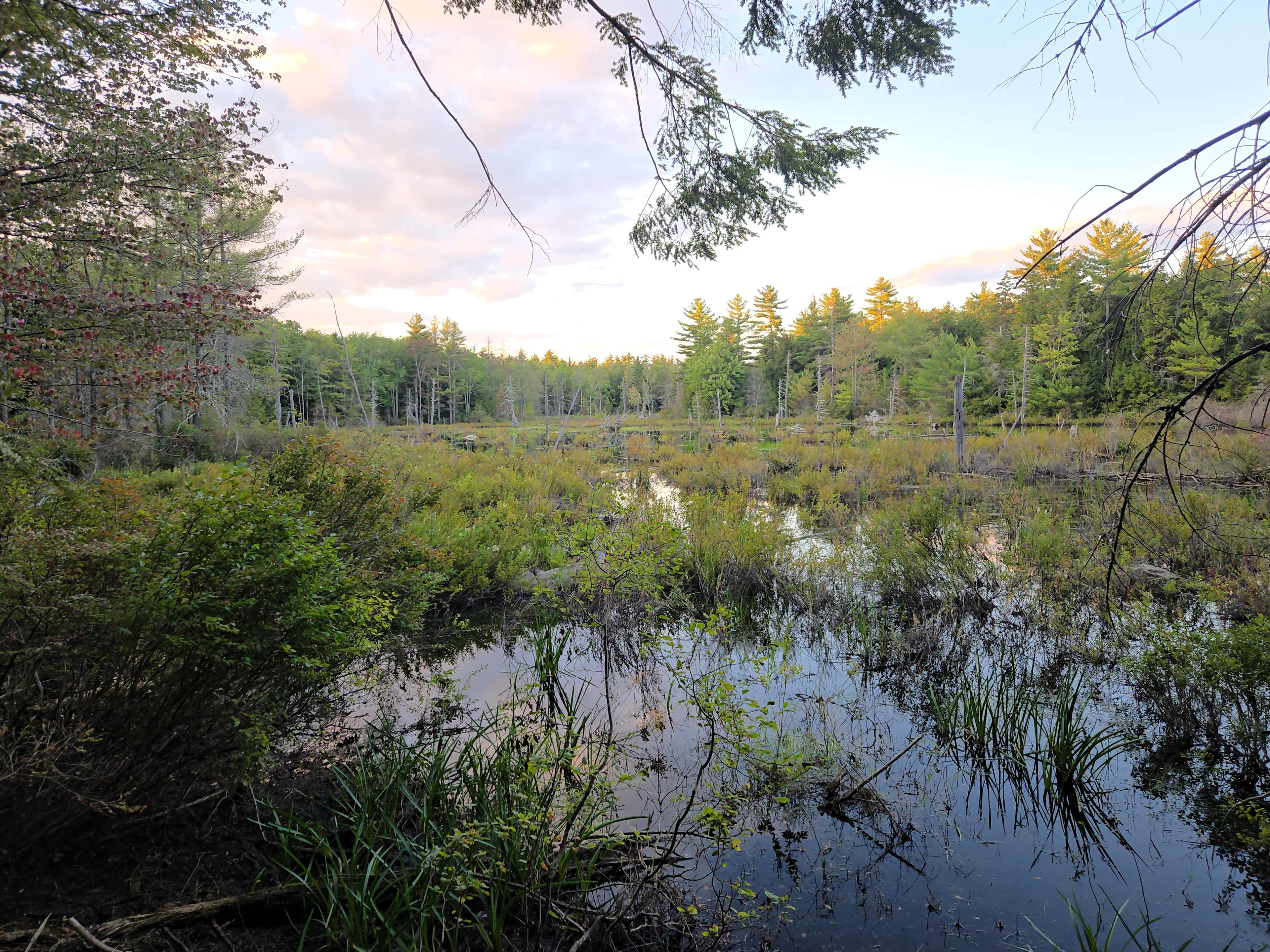 Mountain Brook Hideaway