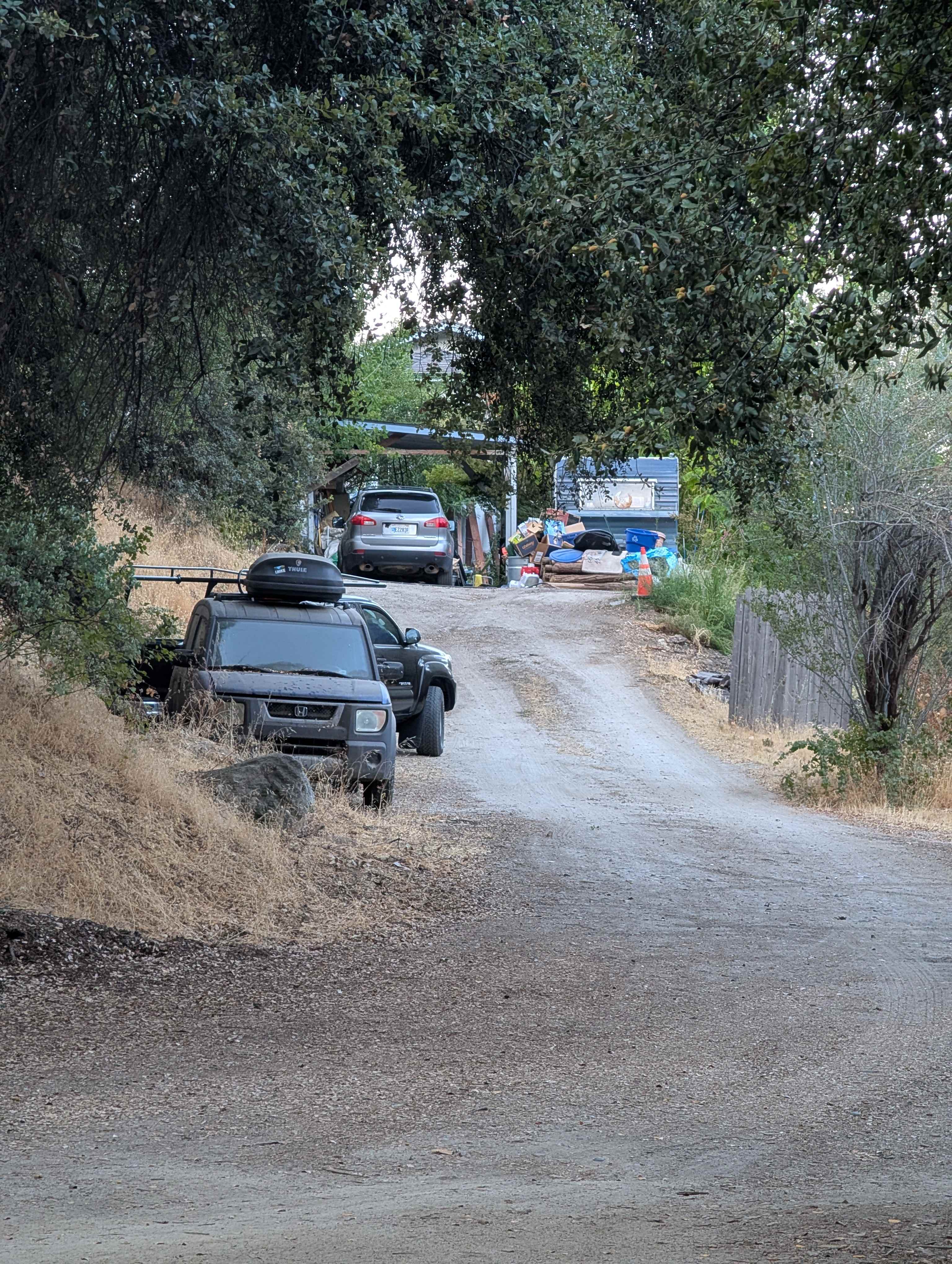 Driveway / view from campsite.