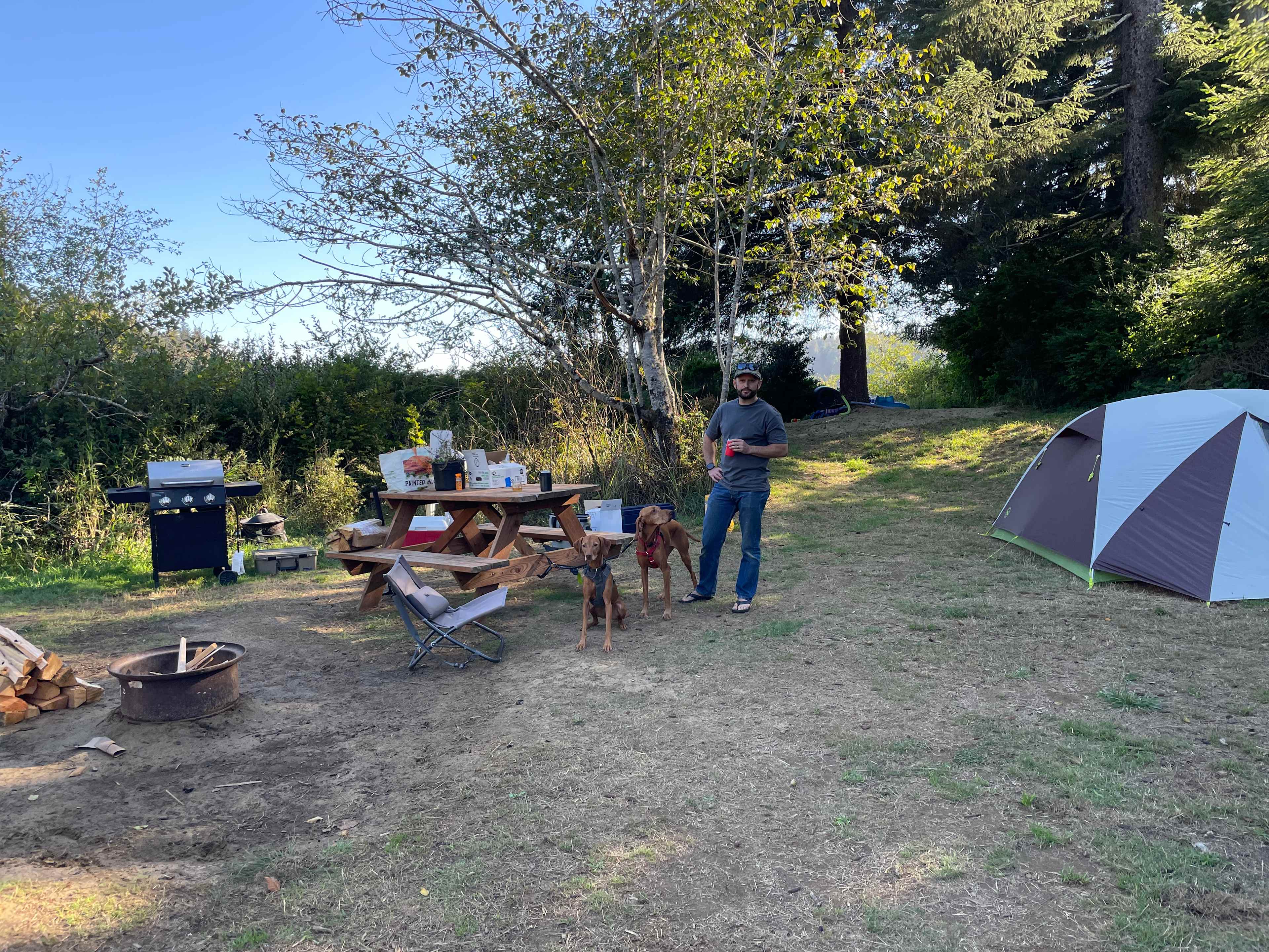 Siltcoos Cove - salmon are in!