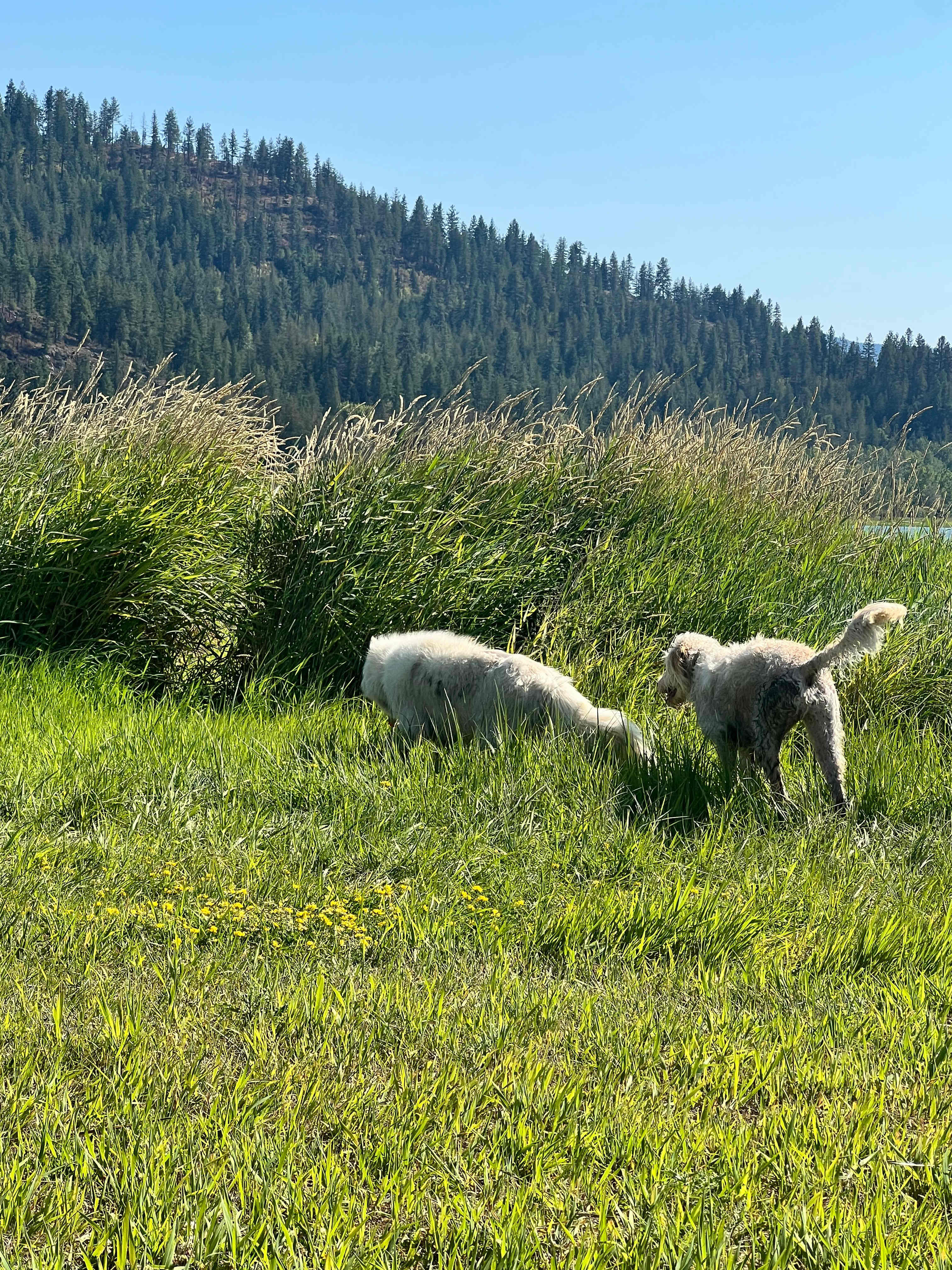 Waterfront Adventures