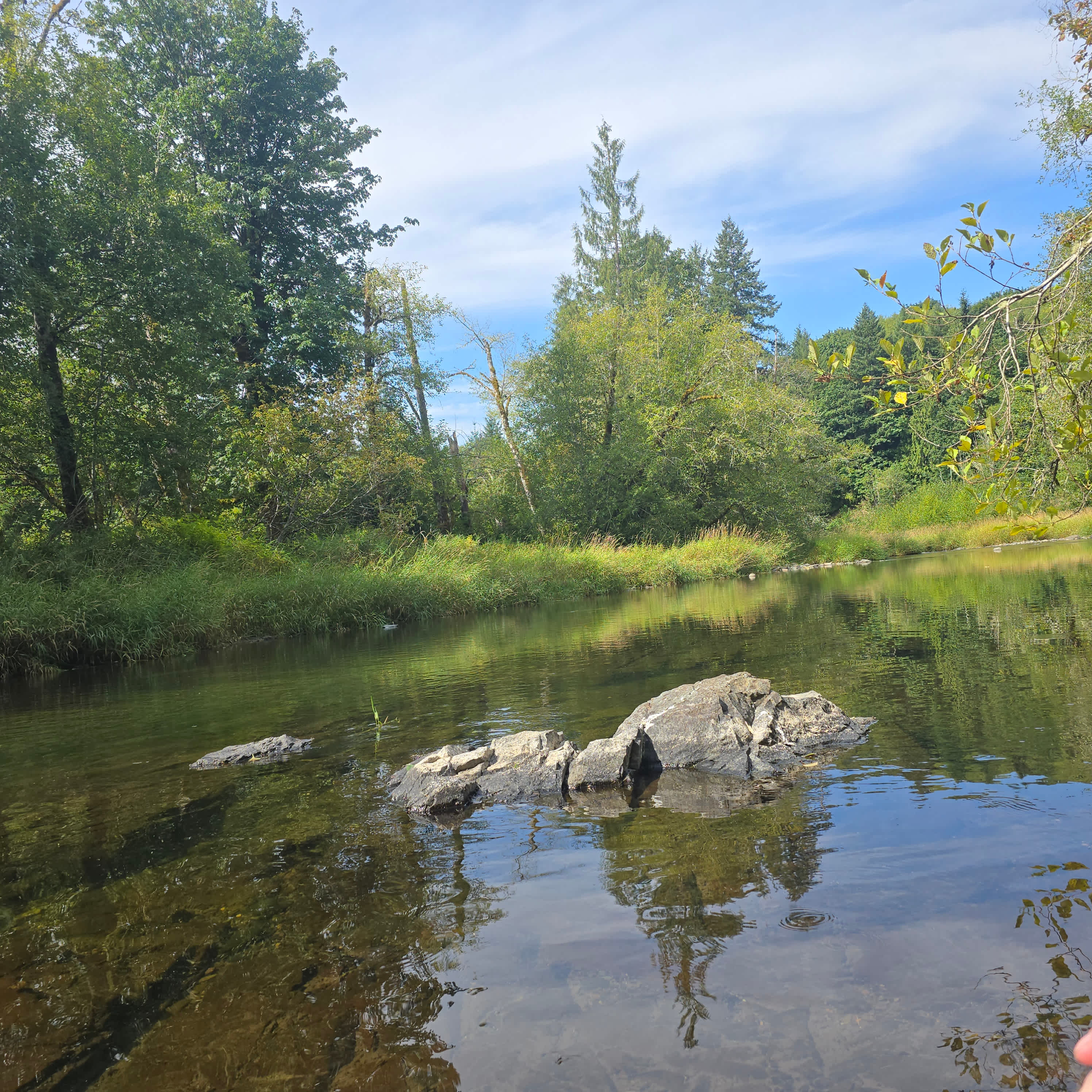 Keesee River Property