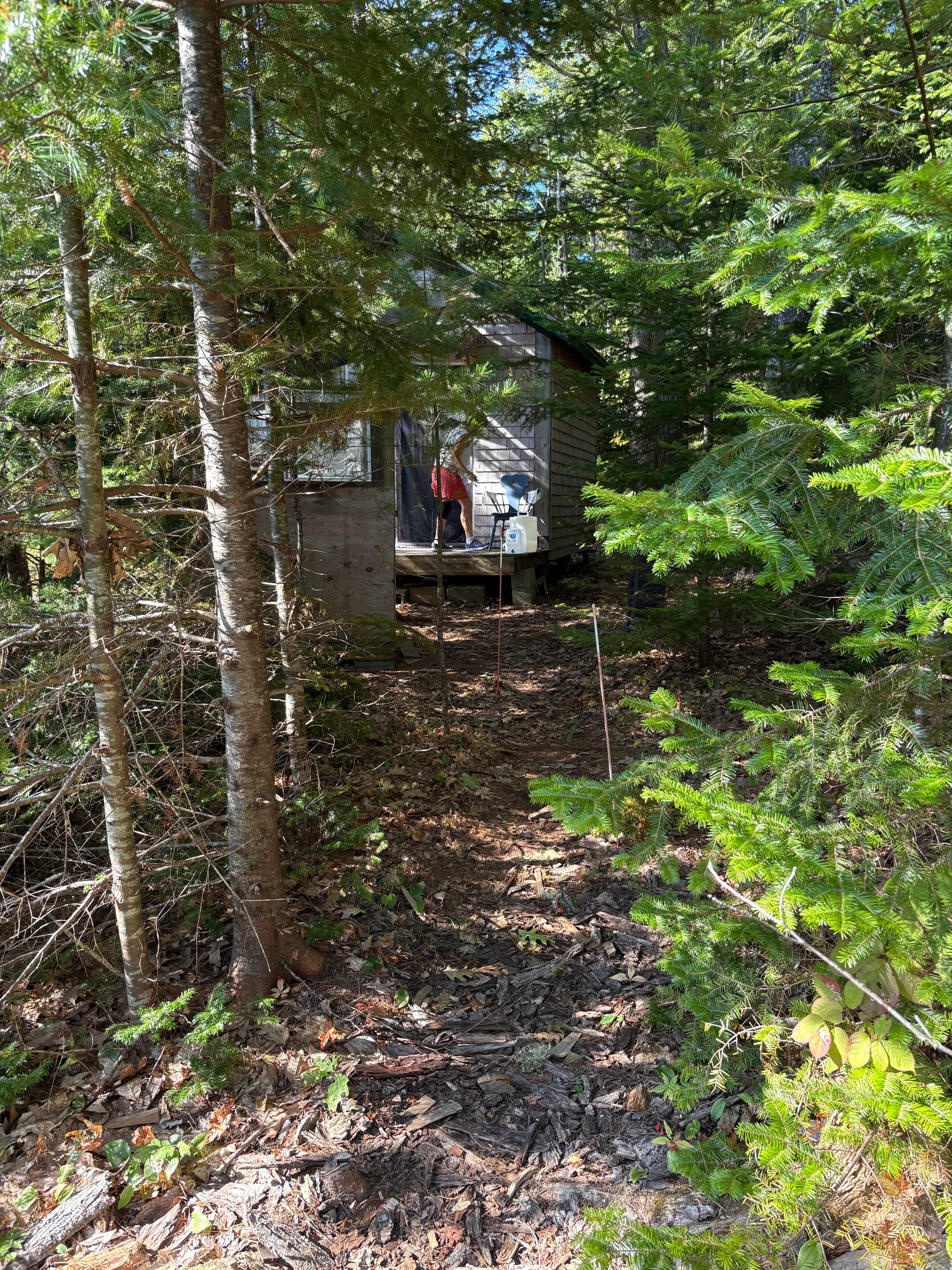 Stuart Little’s Dreamhouse