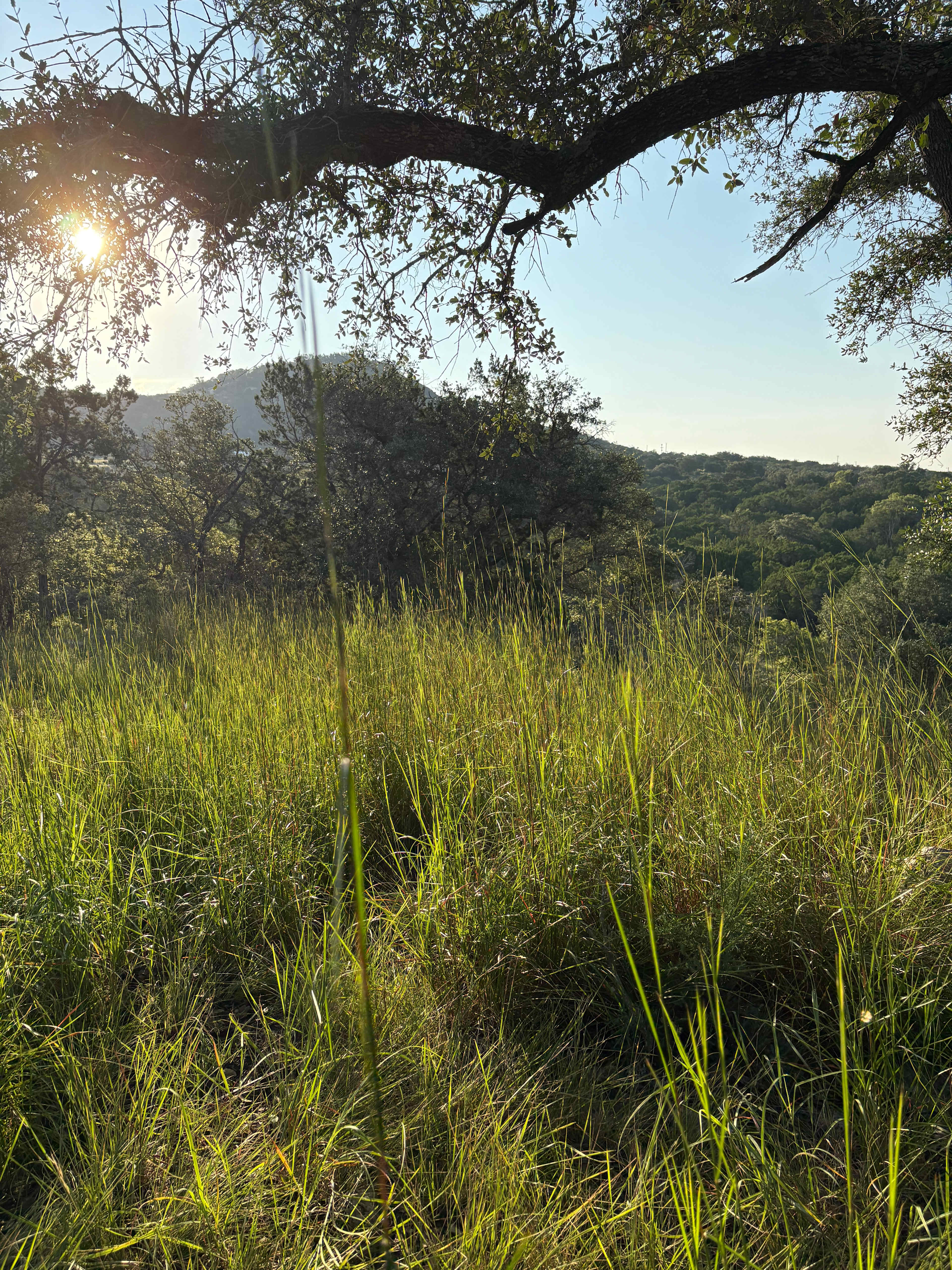 Twin Falls: Glamping Tents