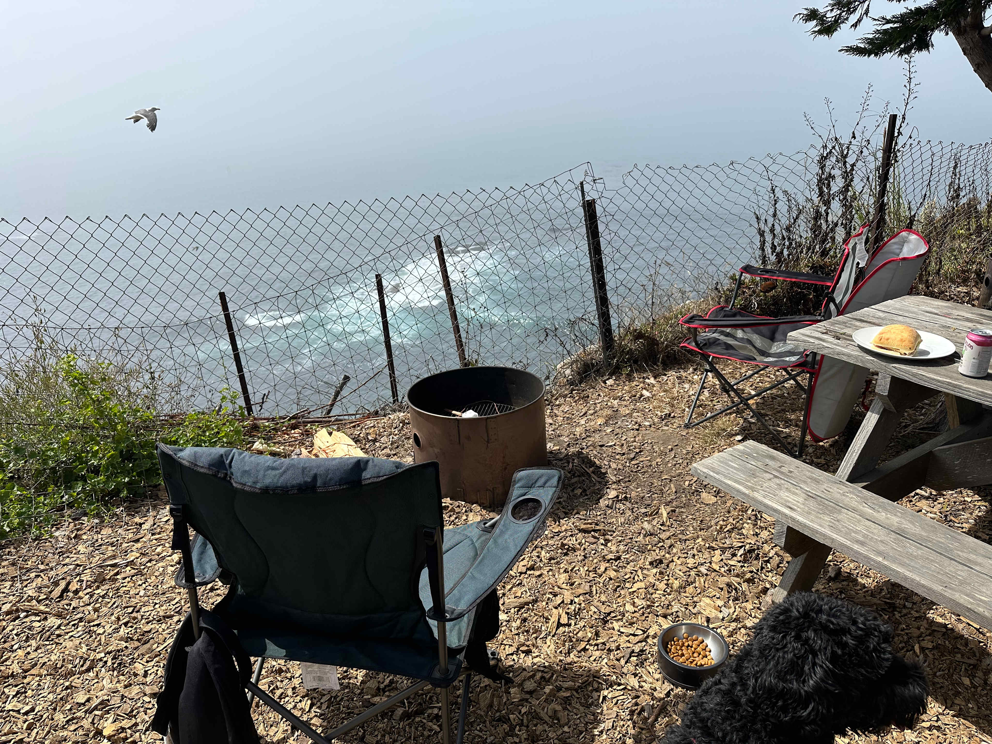 Site 7