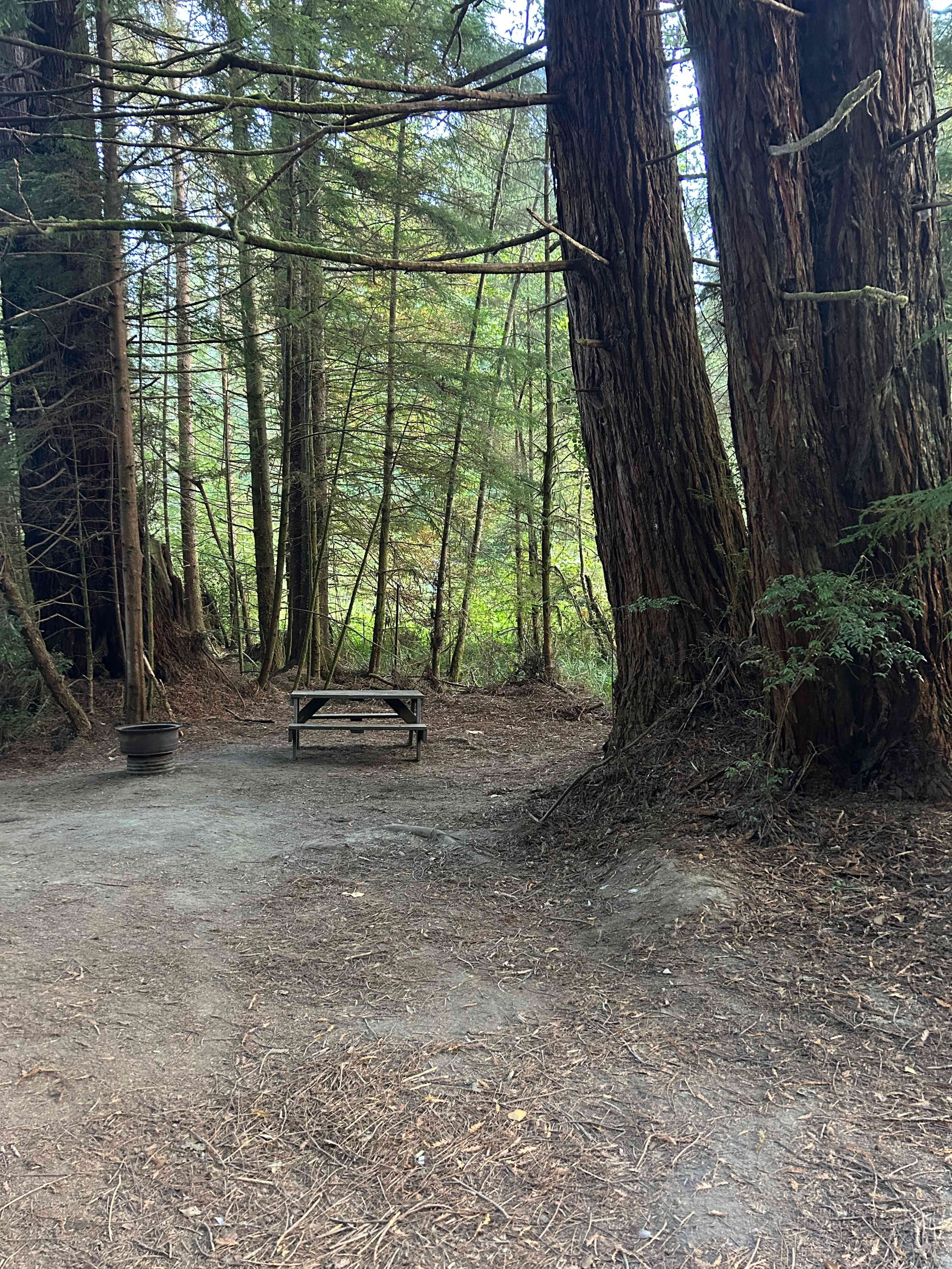 Site 9 backs up to site 15