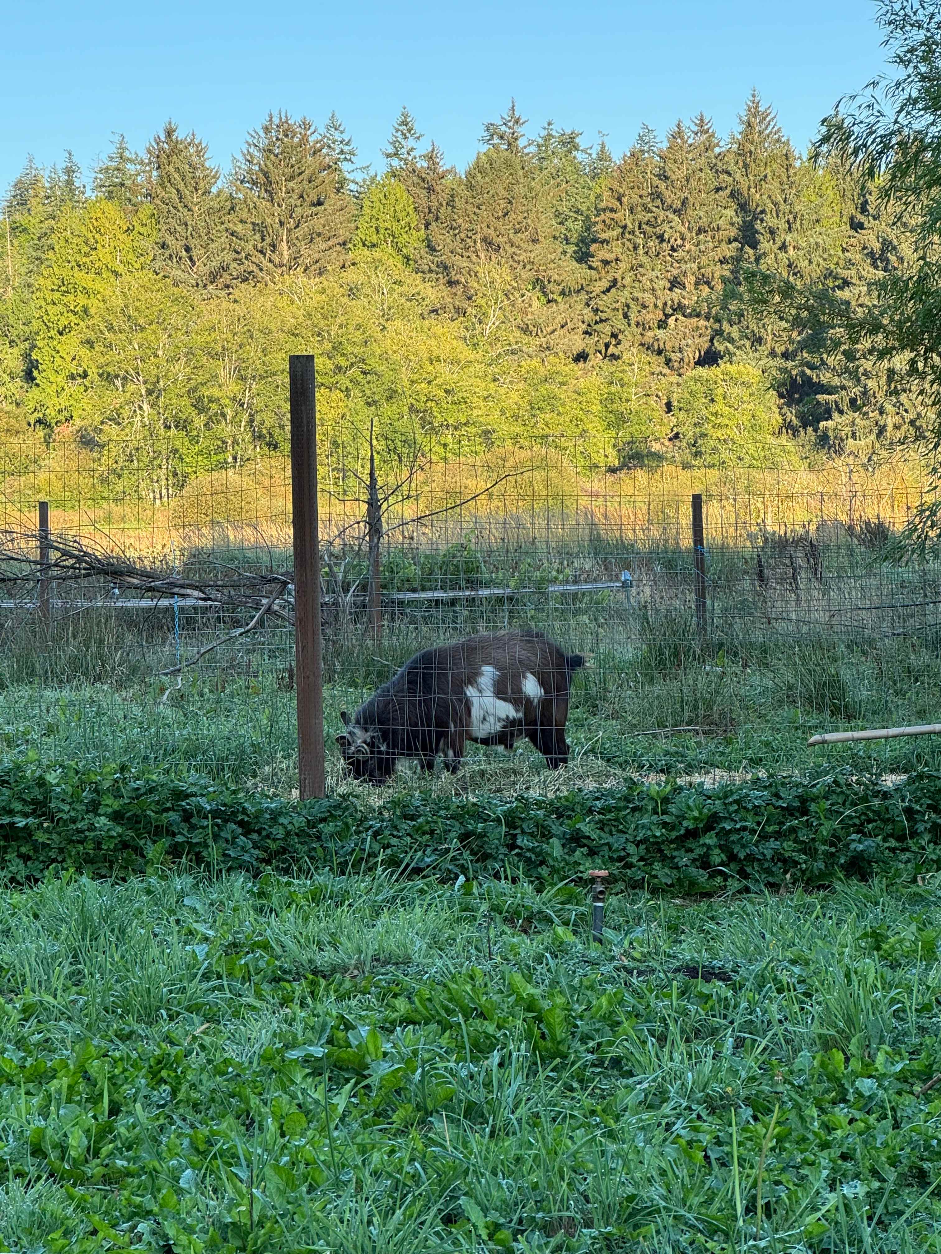 Beaver Valley Retreat