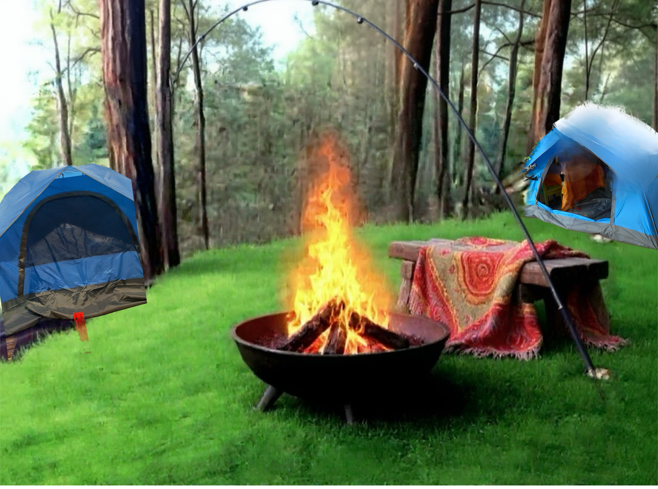 Majestic camping under the stars