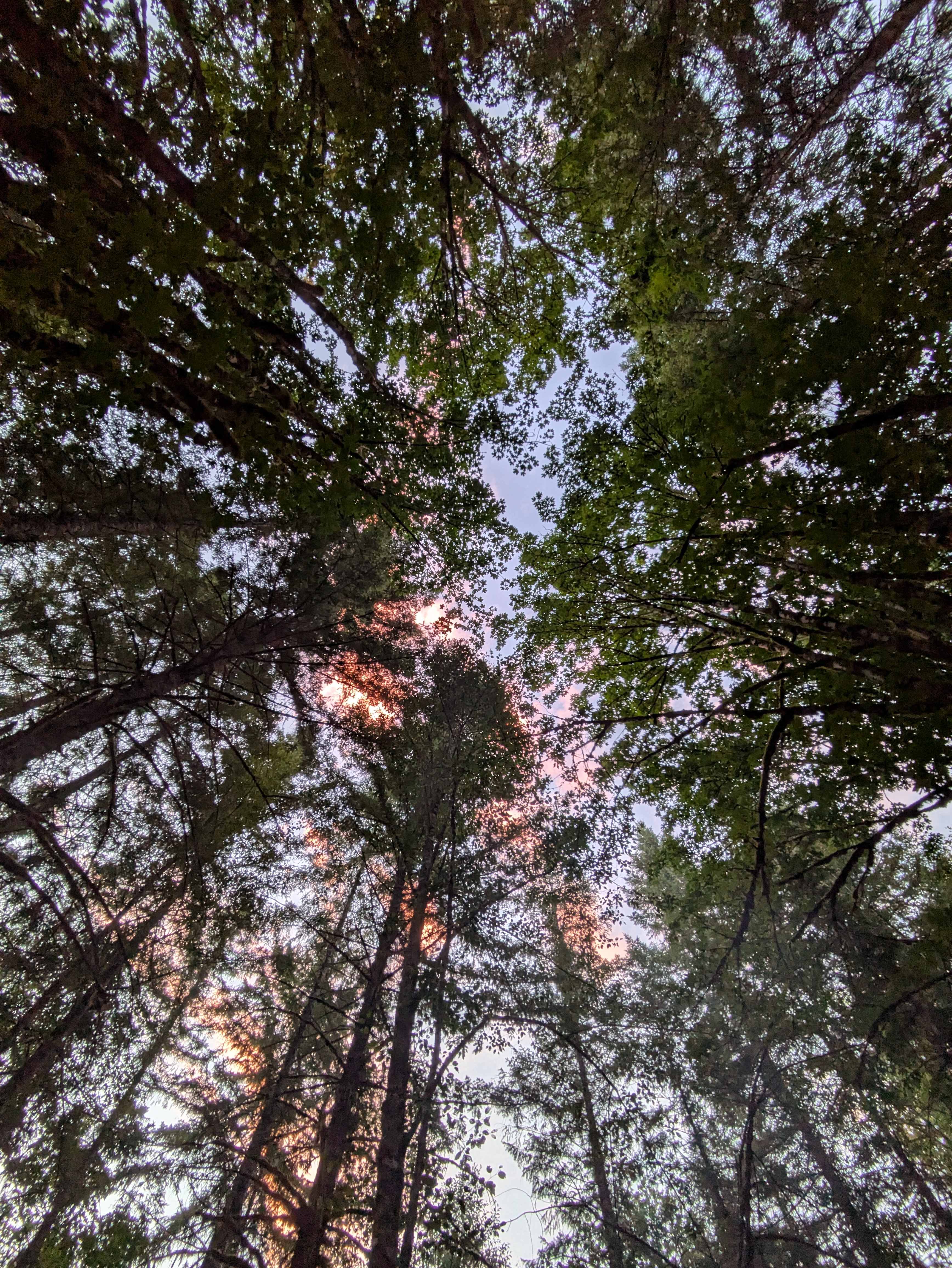 View above from Campsite 9
