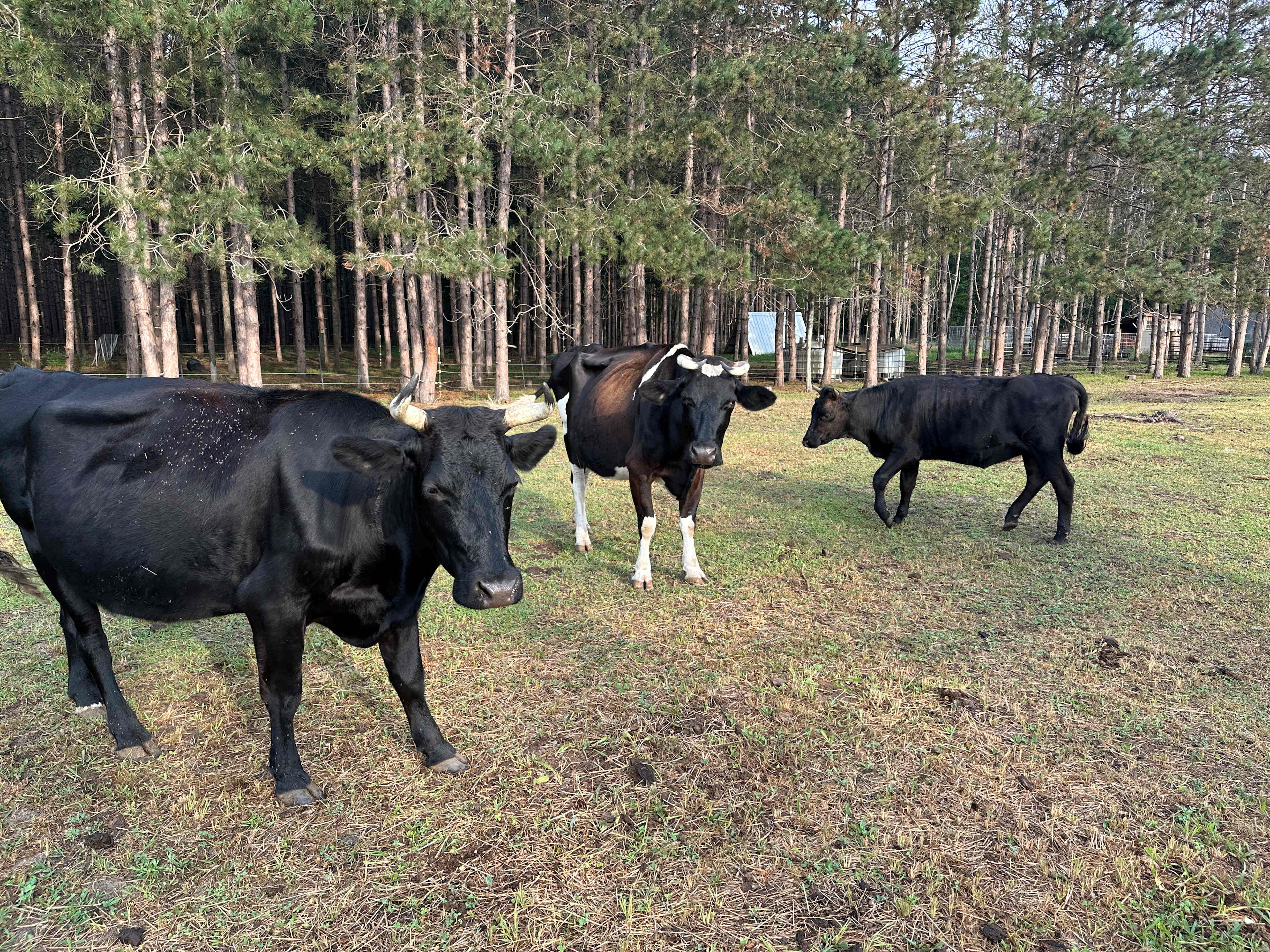 Jackson Station Leelanau