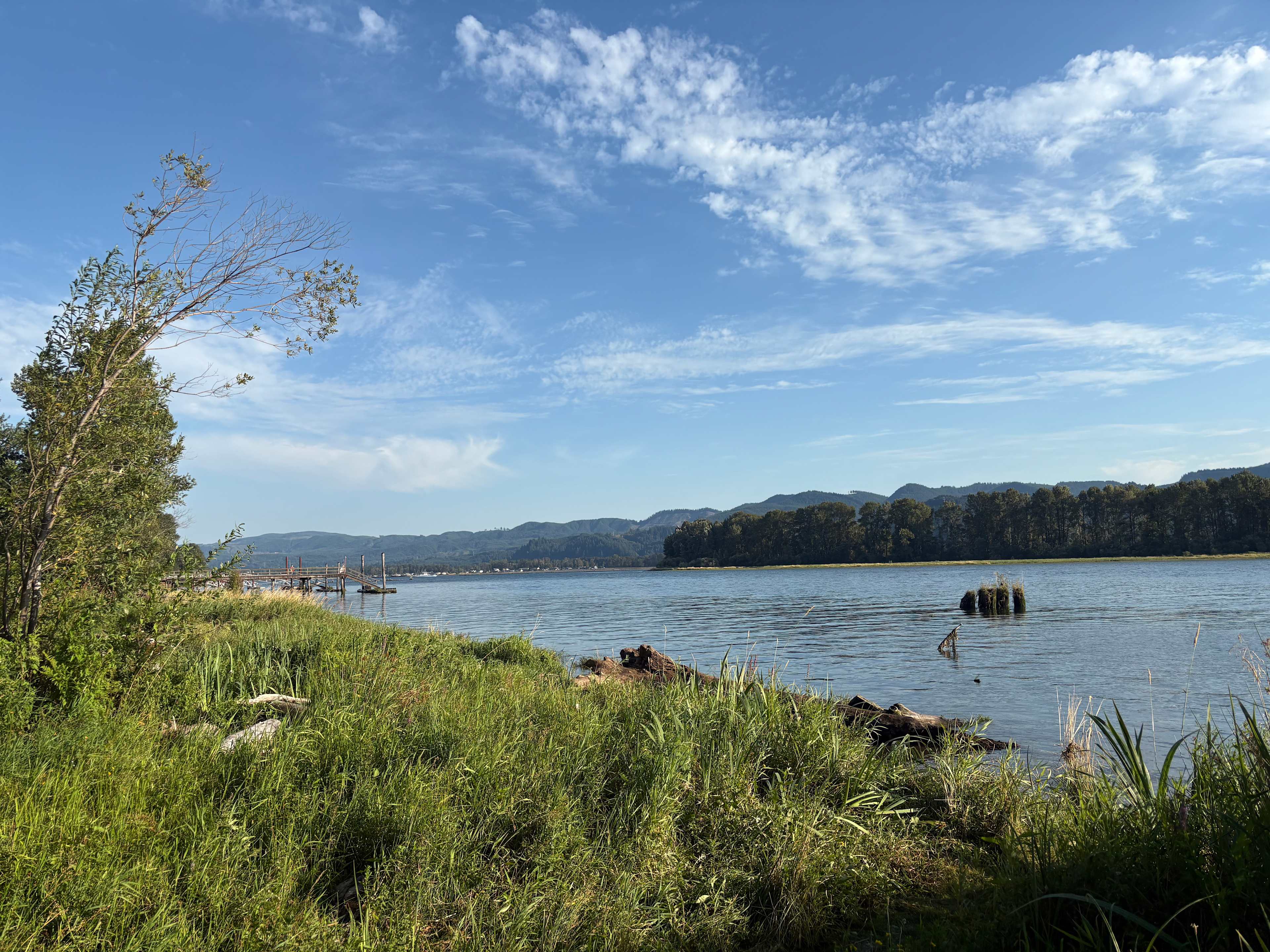 View from the beach at the site 