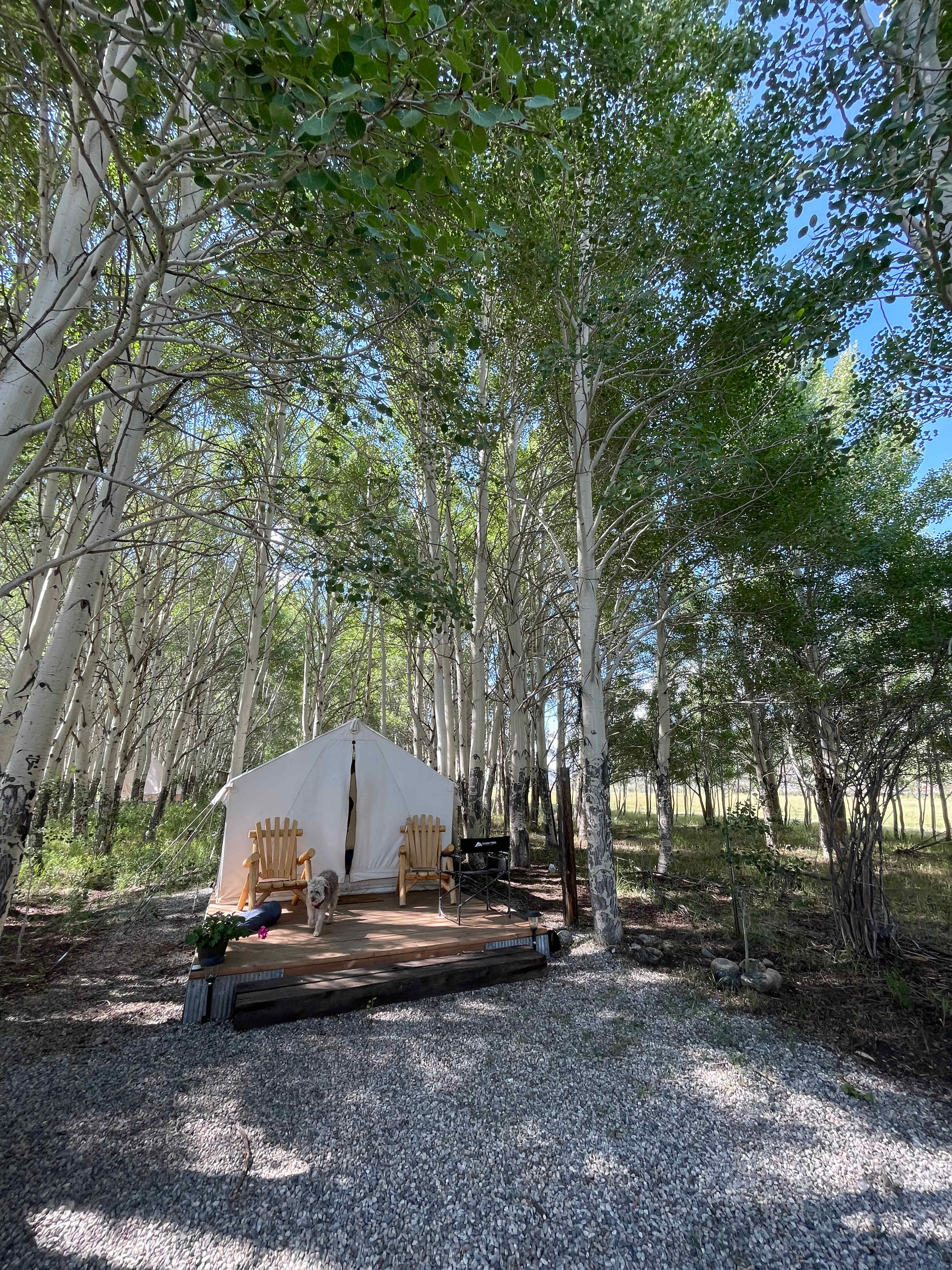 Frenchman's Creek Ranch