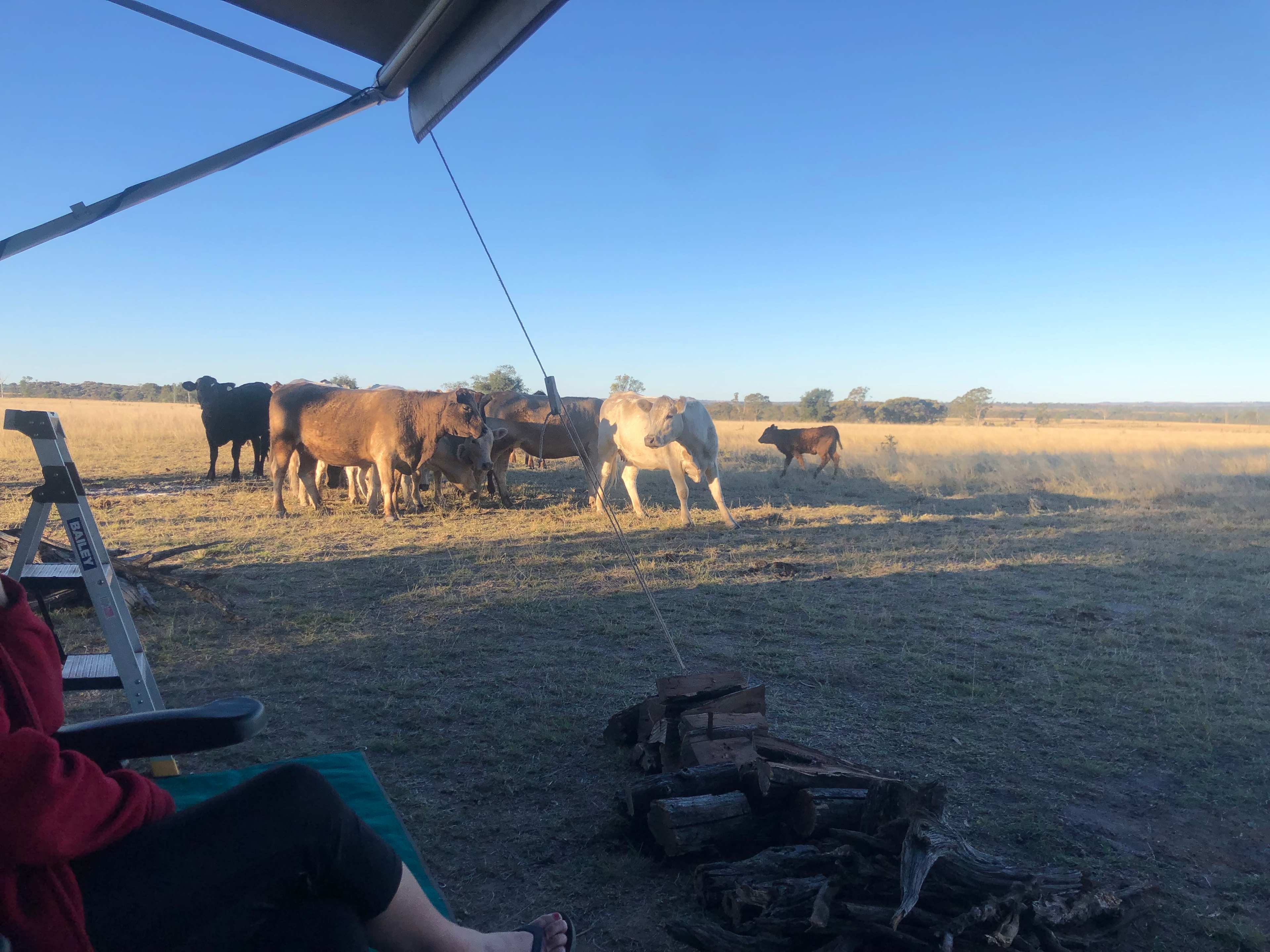 El Dorado Farm Visit