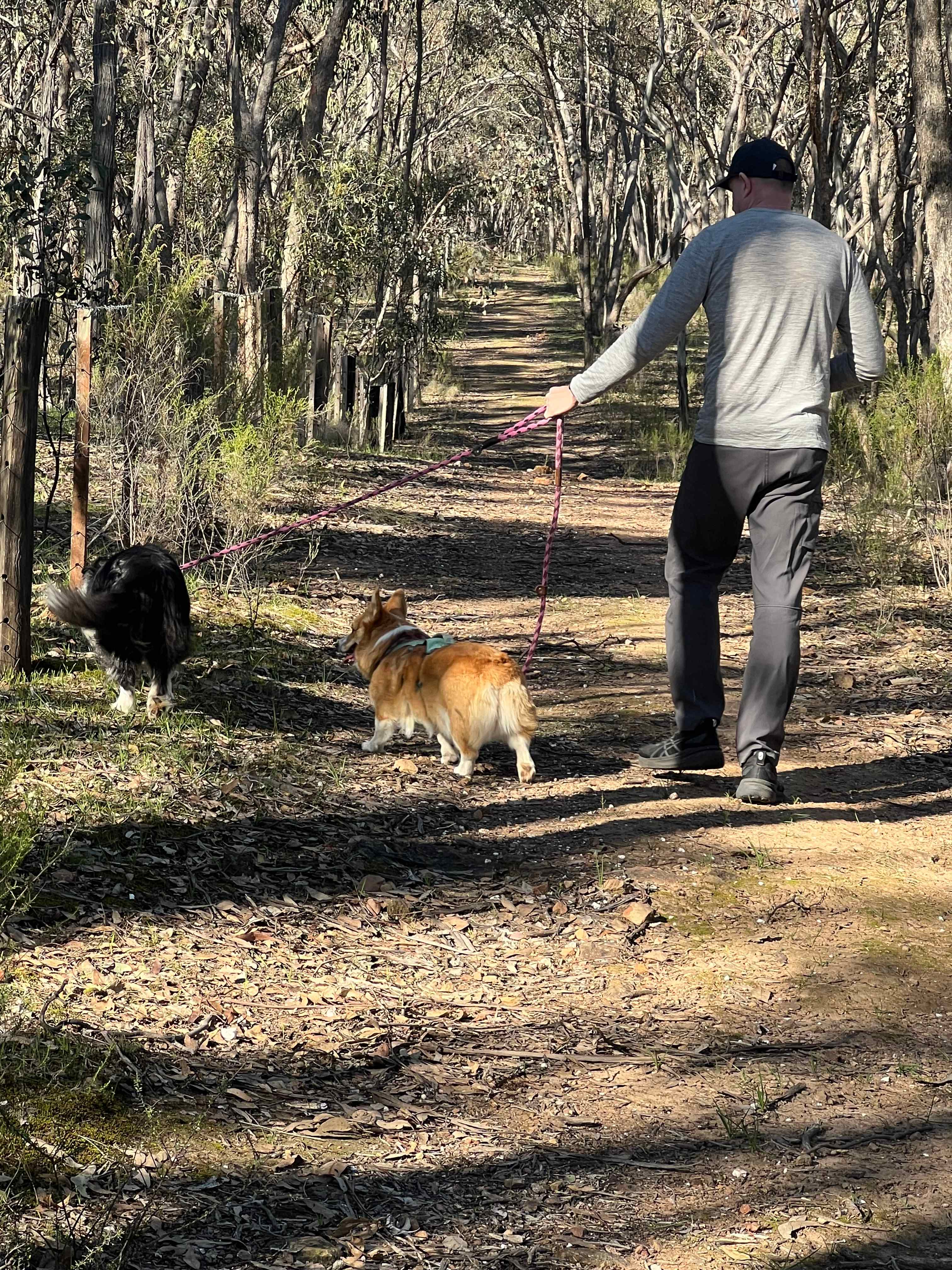 Muckleford Bush Block