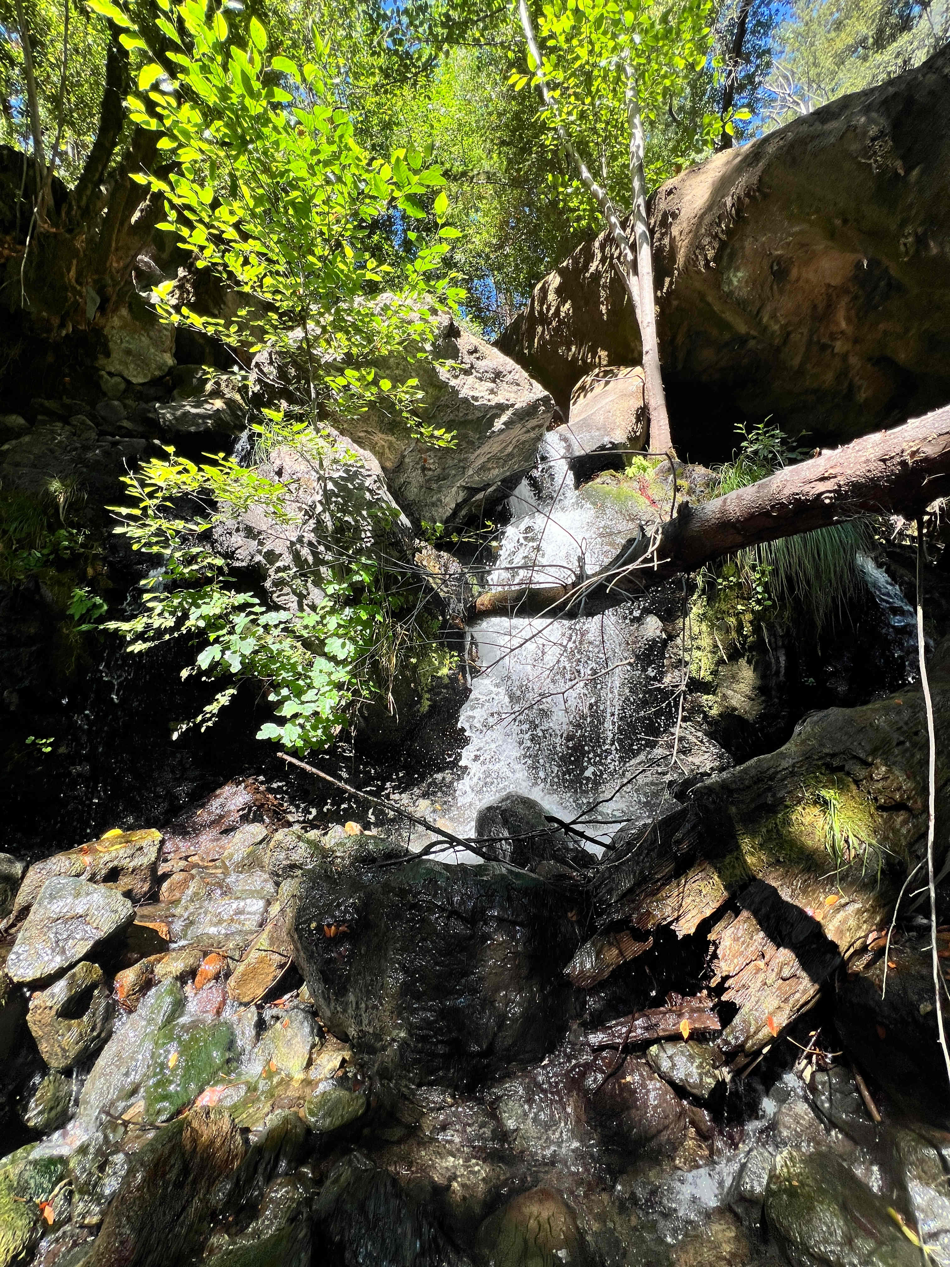 Wild Canyon Ranch CA