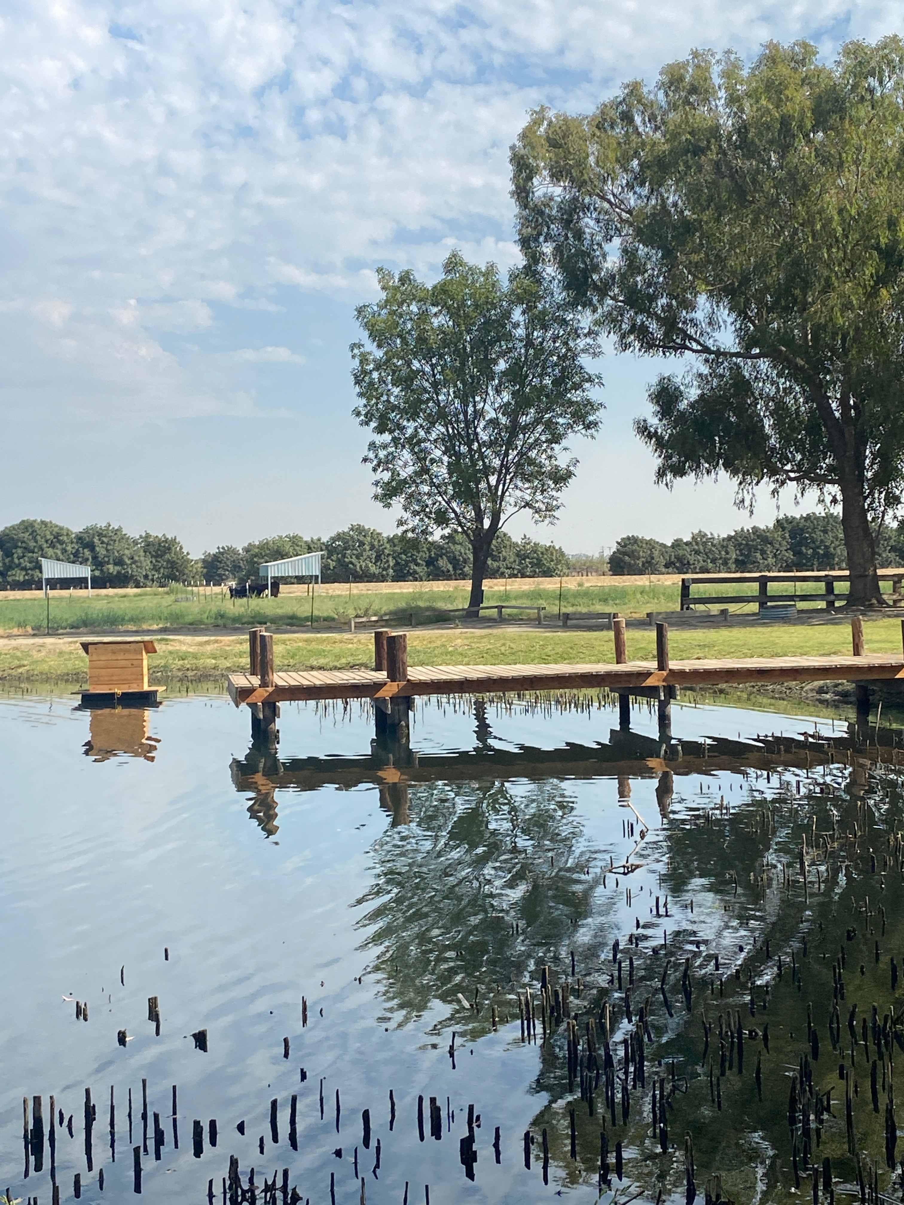Bakersfield Farm Animals & Pond