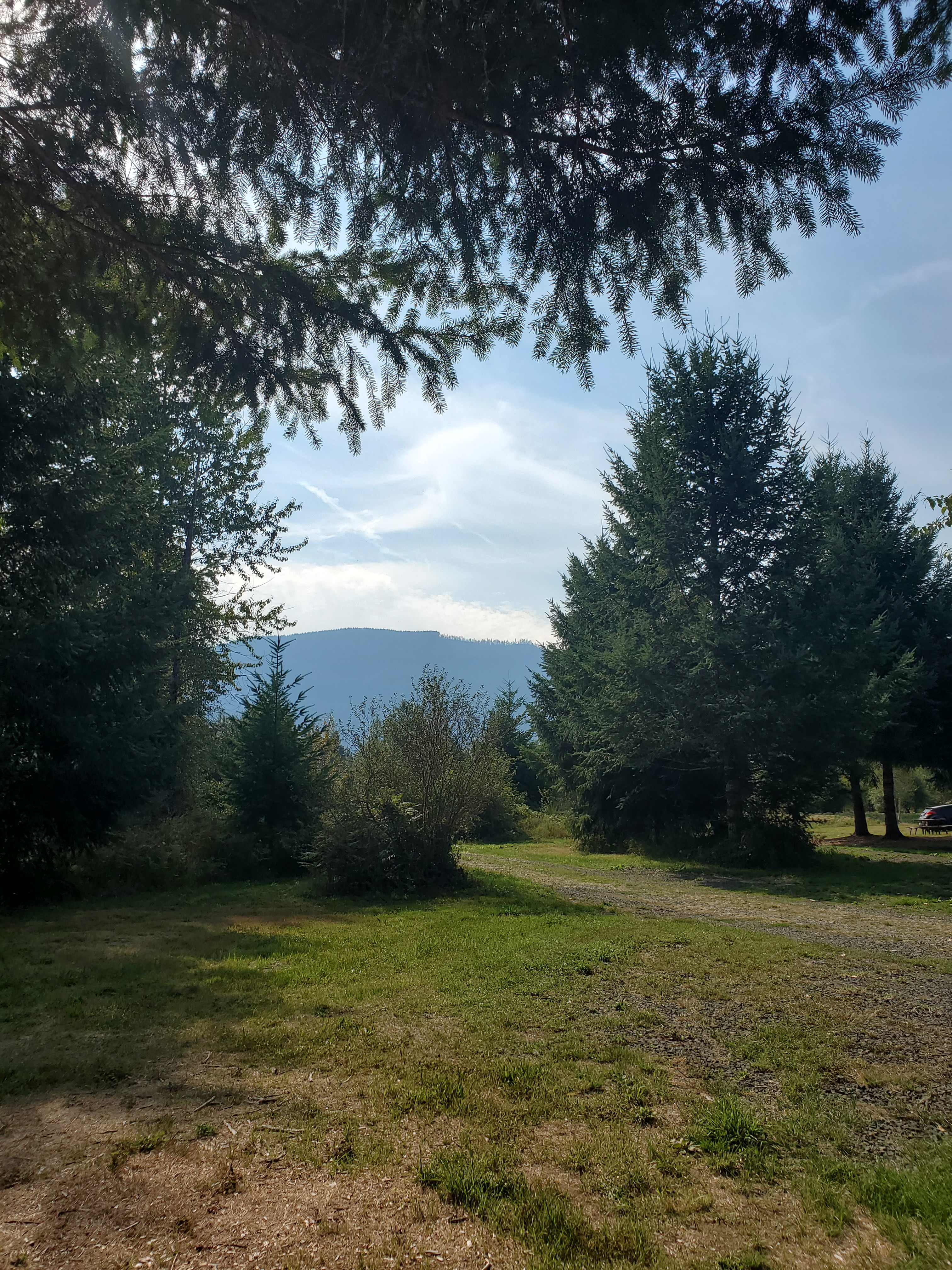 Mountain Lavender Escape