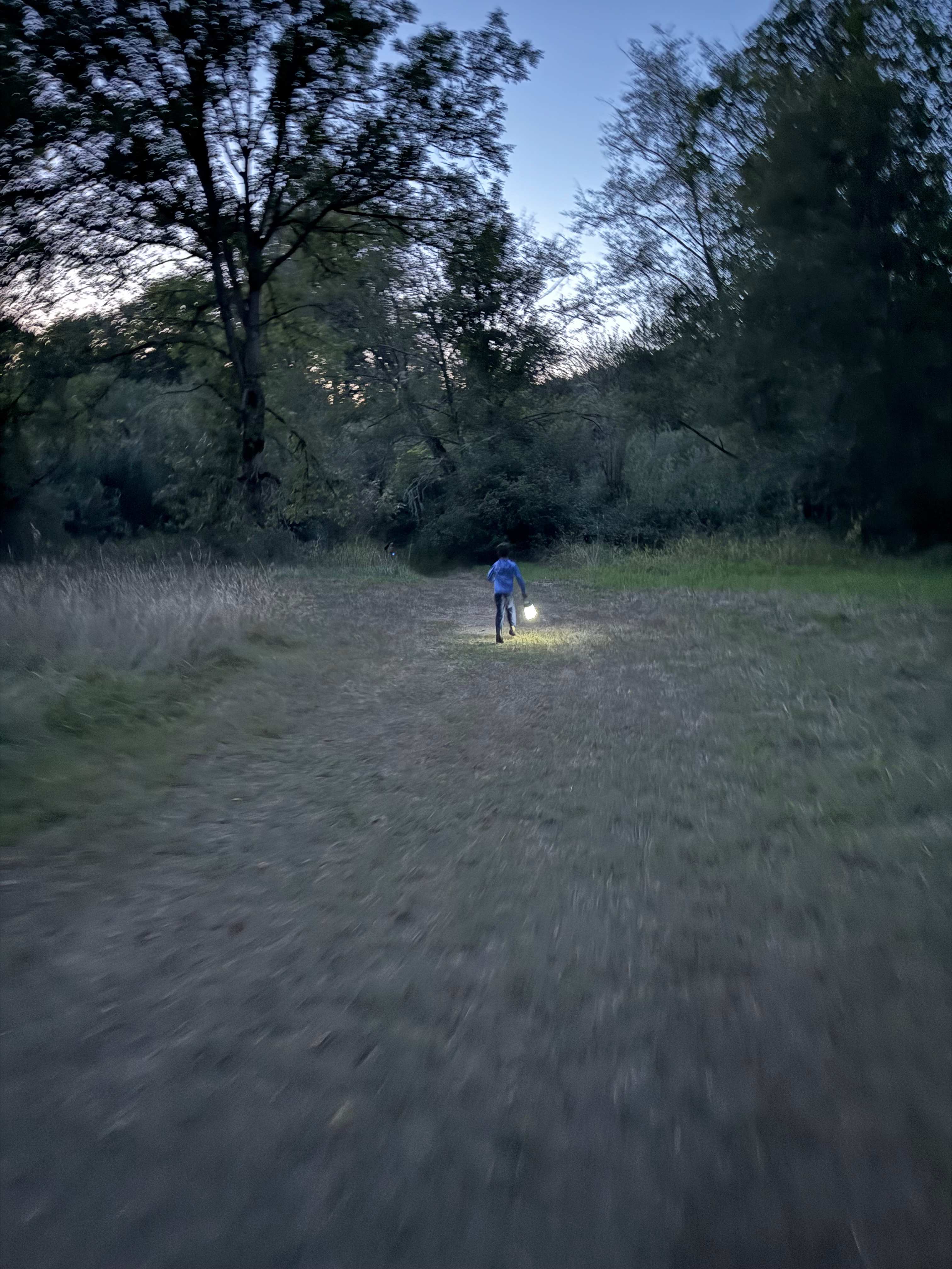 Wild Roots River Oasis