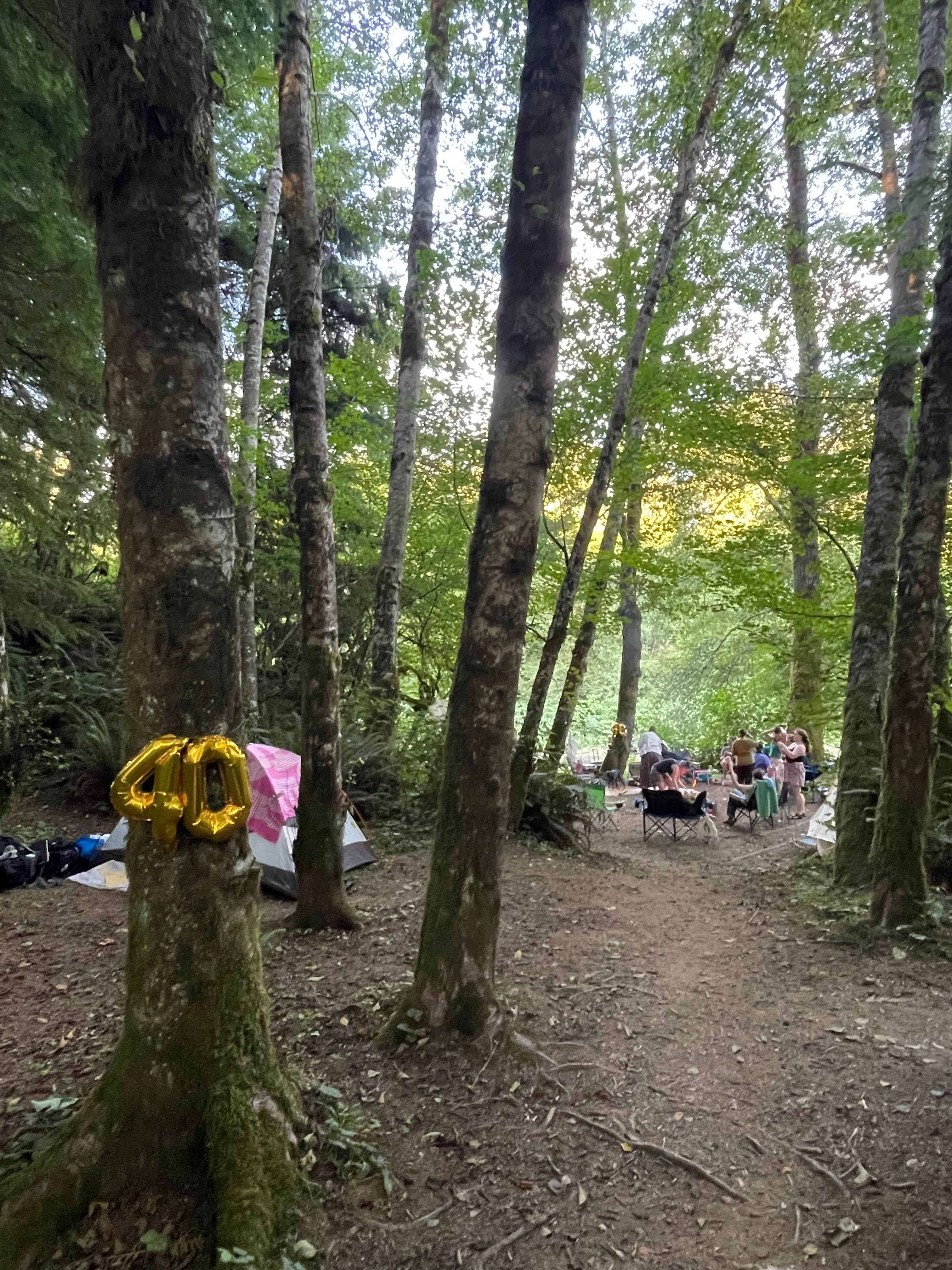 Humptulips Valley River Camp
