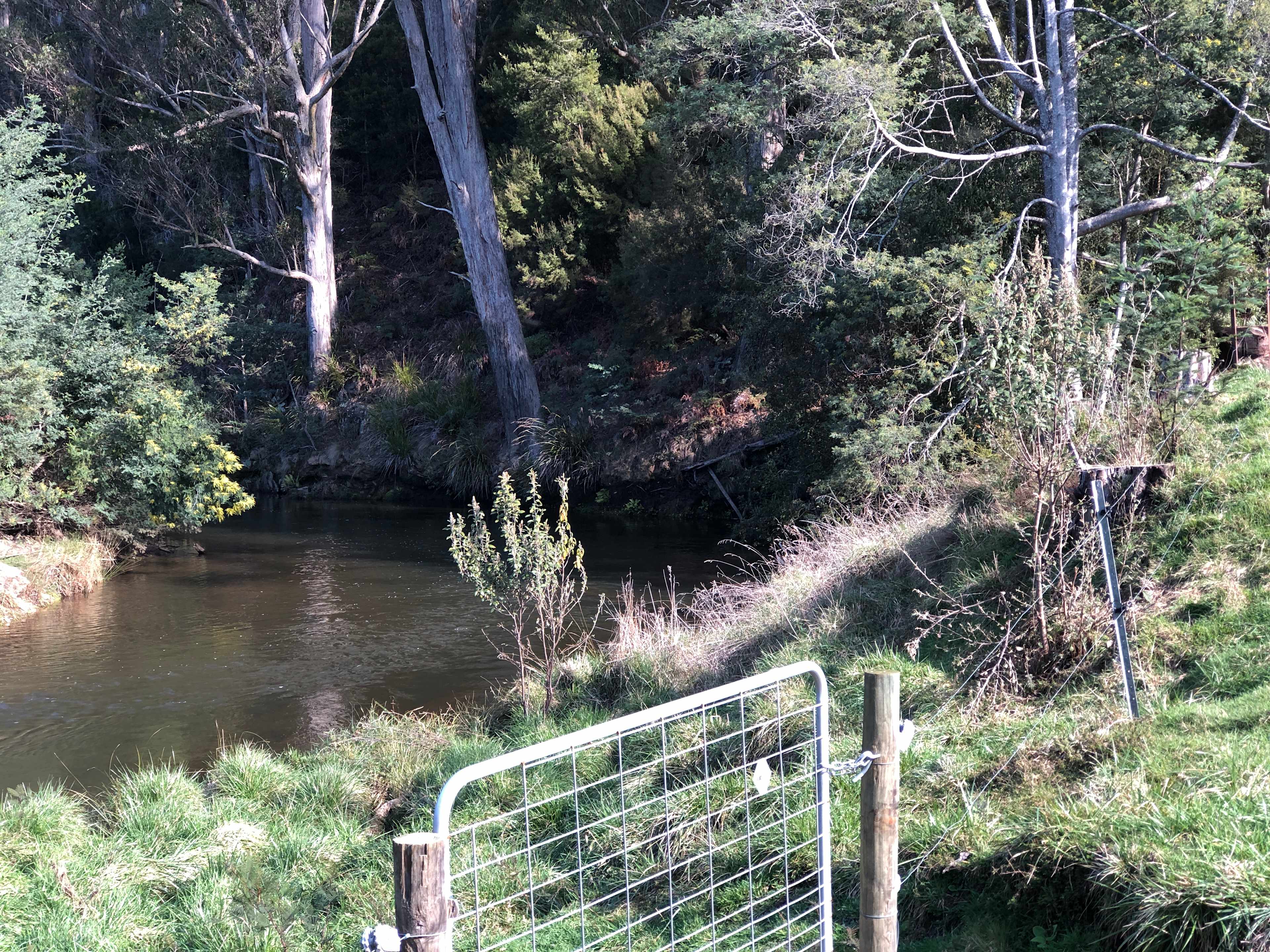 Inglis River Caravan and Camping