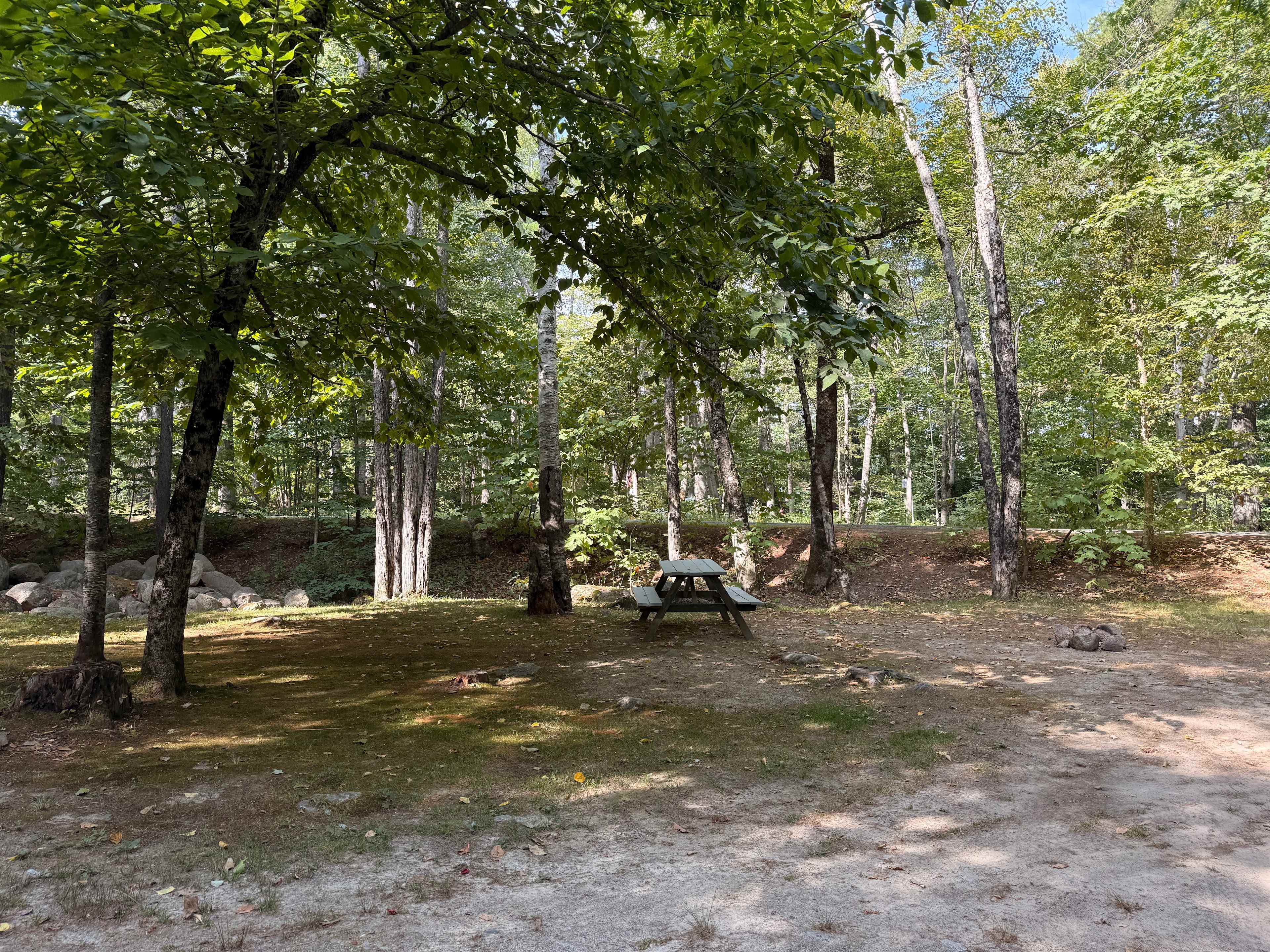 Big Moose Inn Cabins & Campground