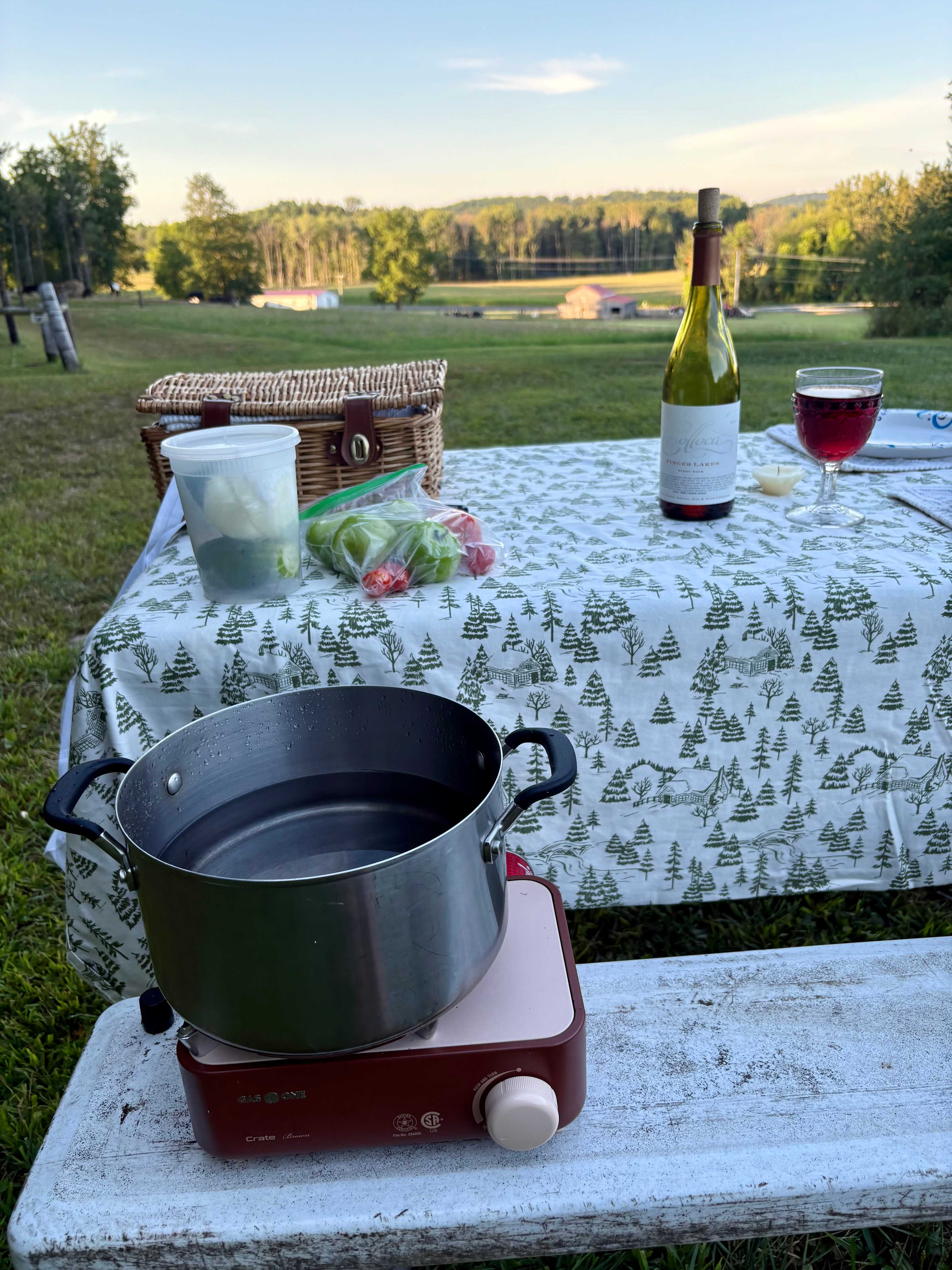 Very spacious and private campsite with beautiful view