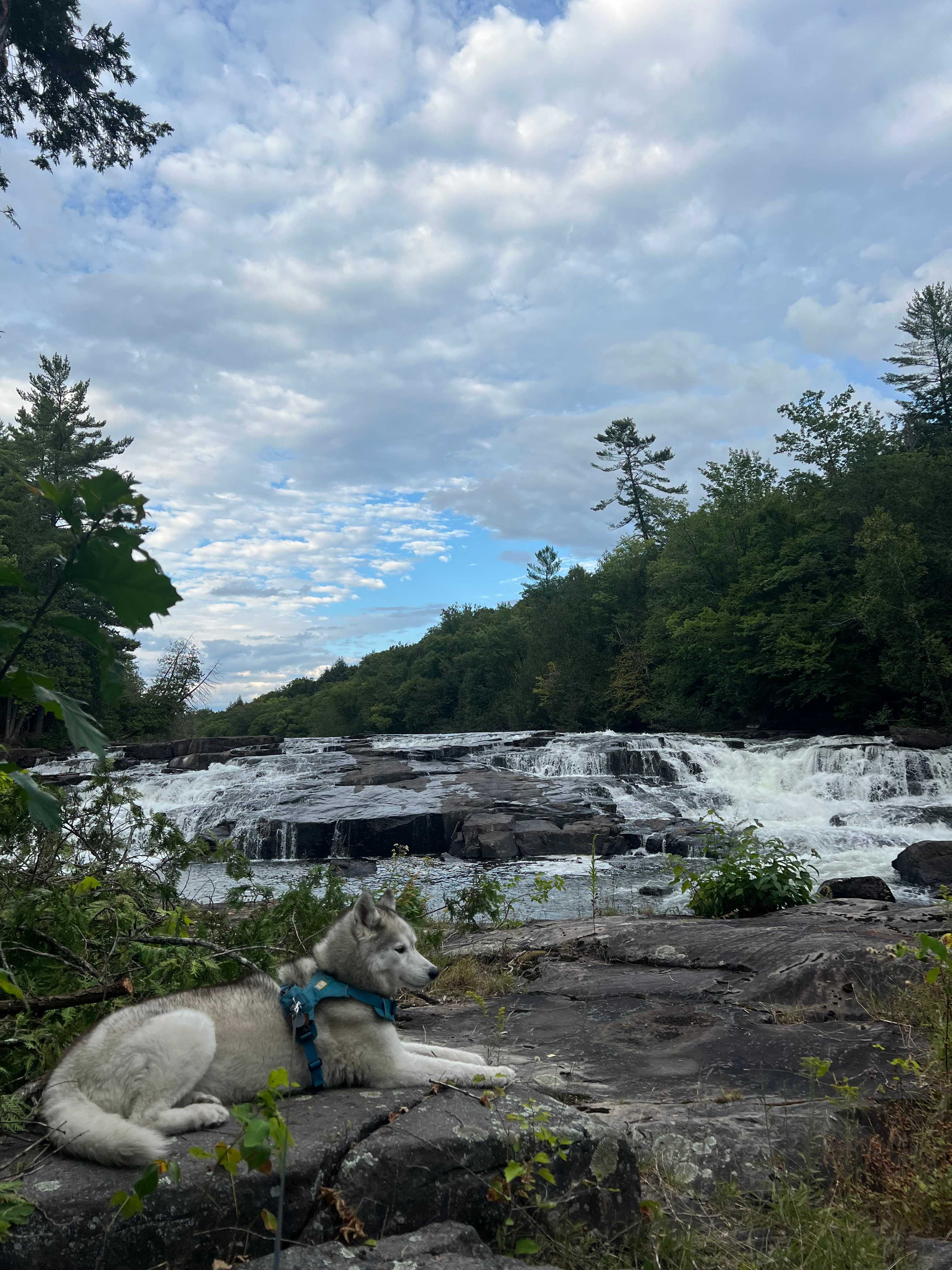 Domaine Lockbøw | Private Waterfall