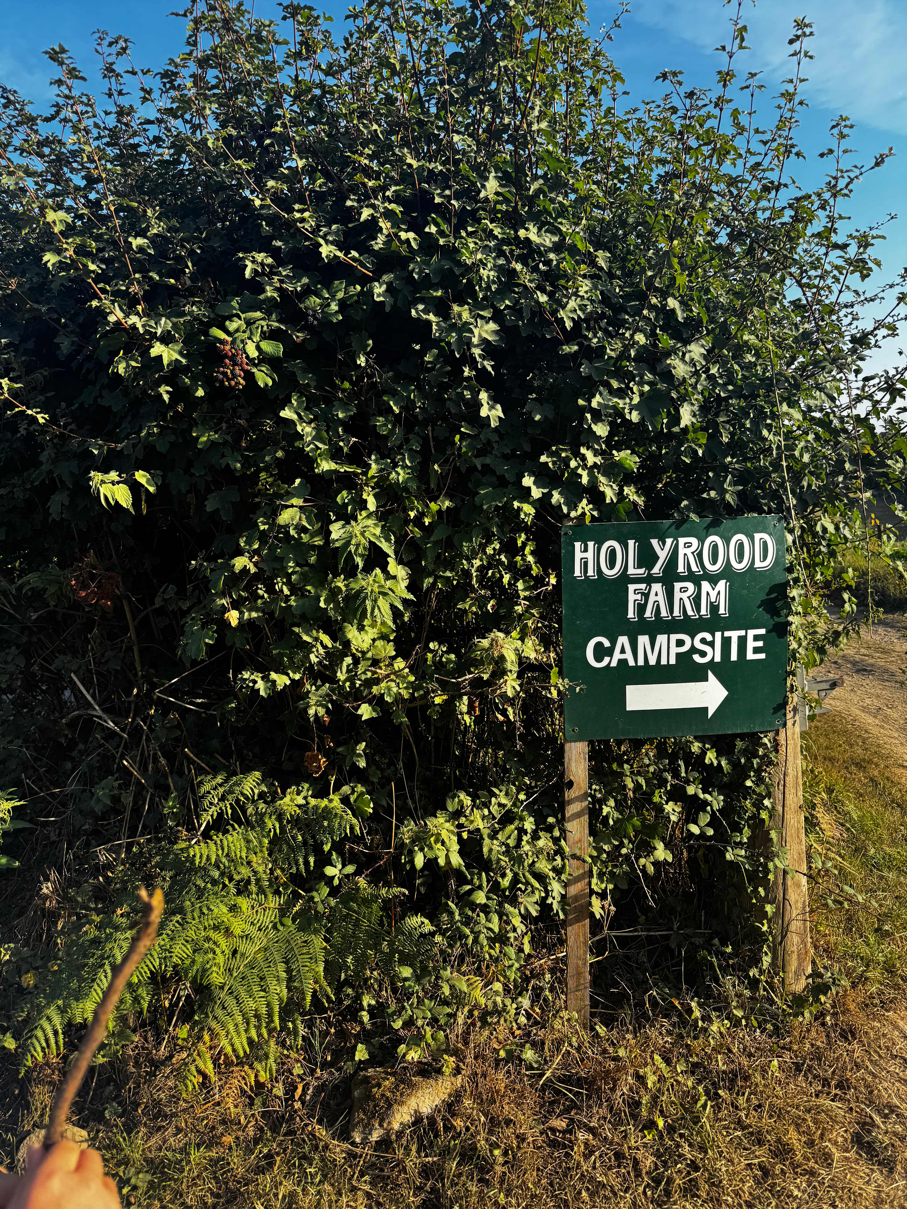 Holyrood Farm Campsite