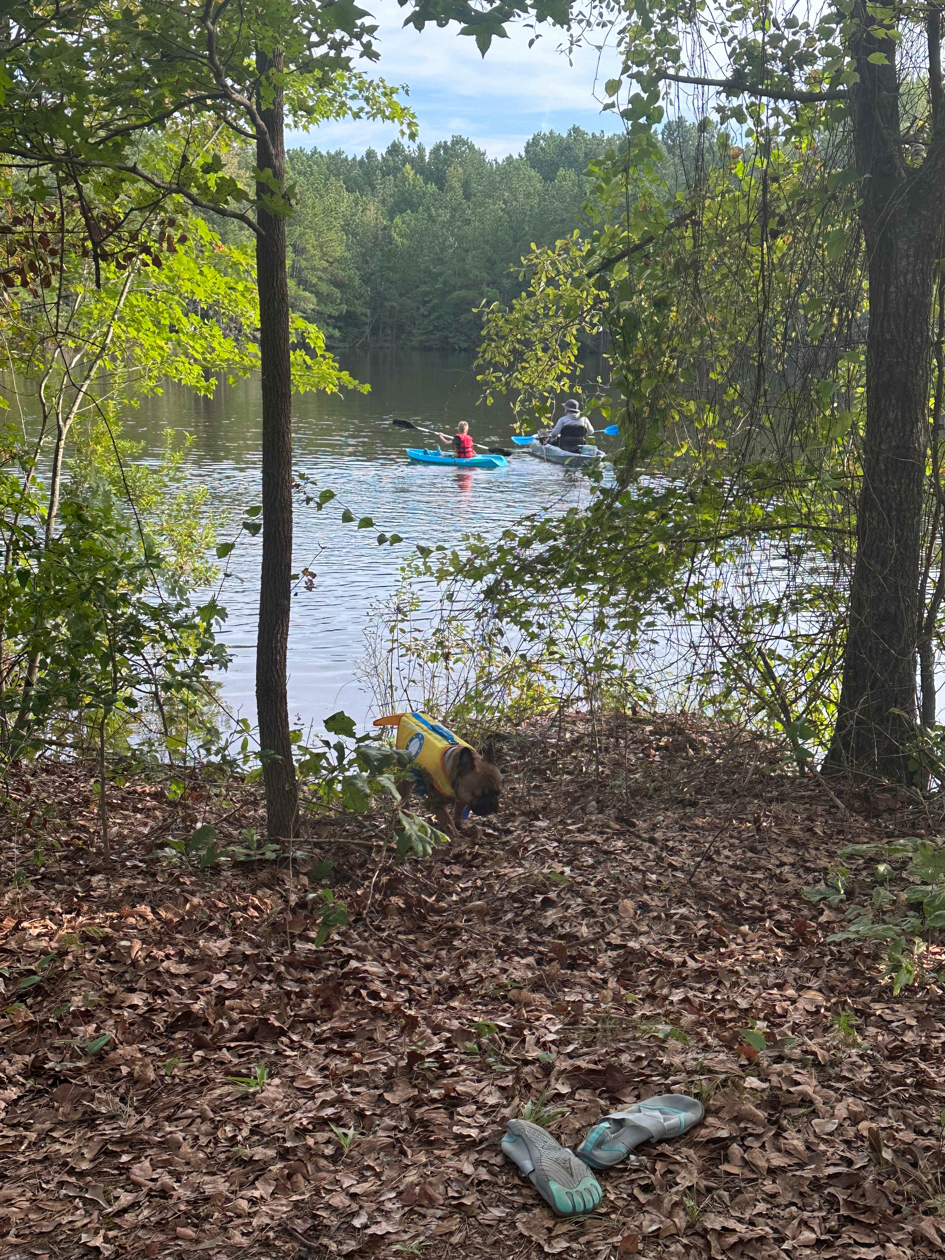 Scott’s Lakeview Camp and Park