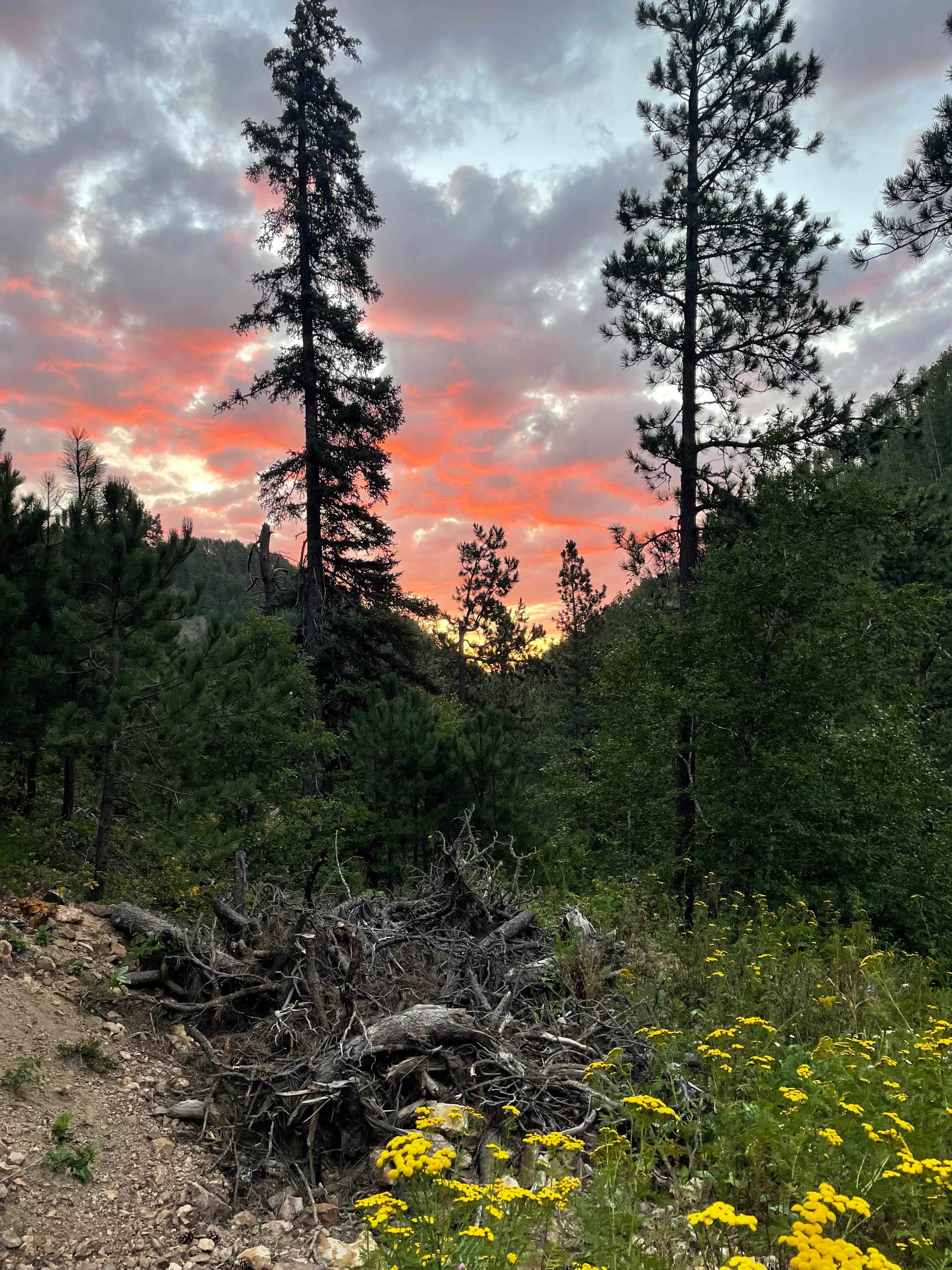 sun rise from camp site