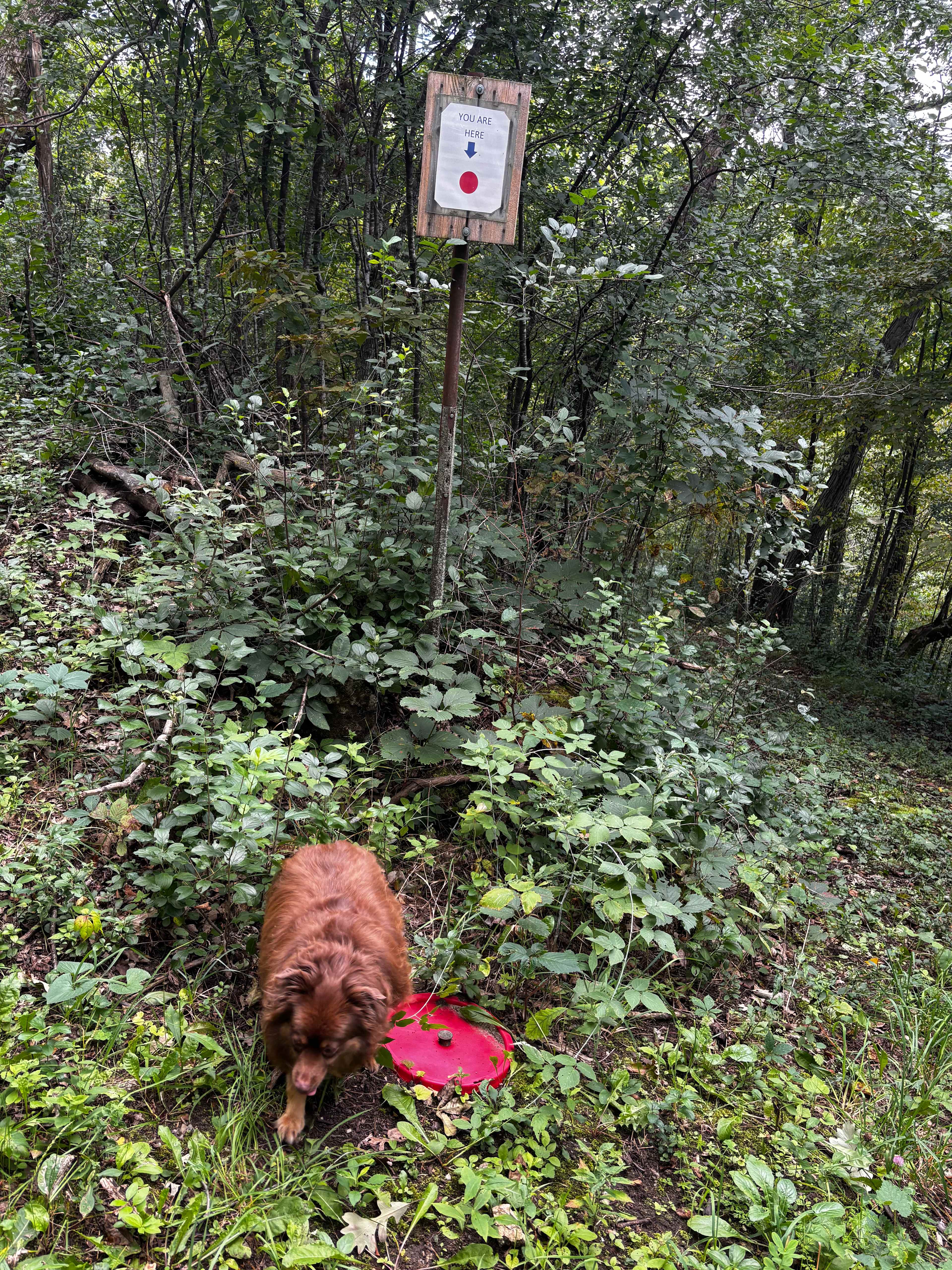 Lots of cute whimsical things to discover on the trails