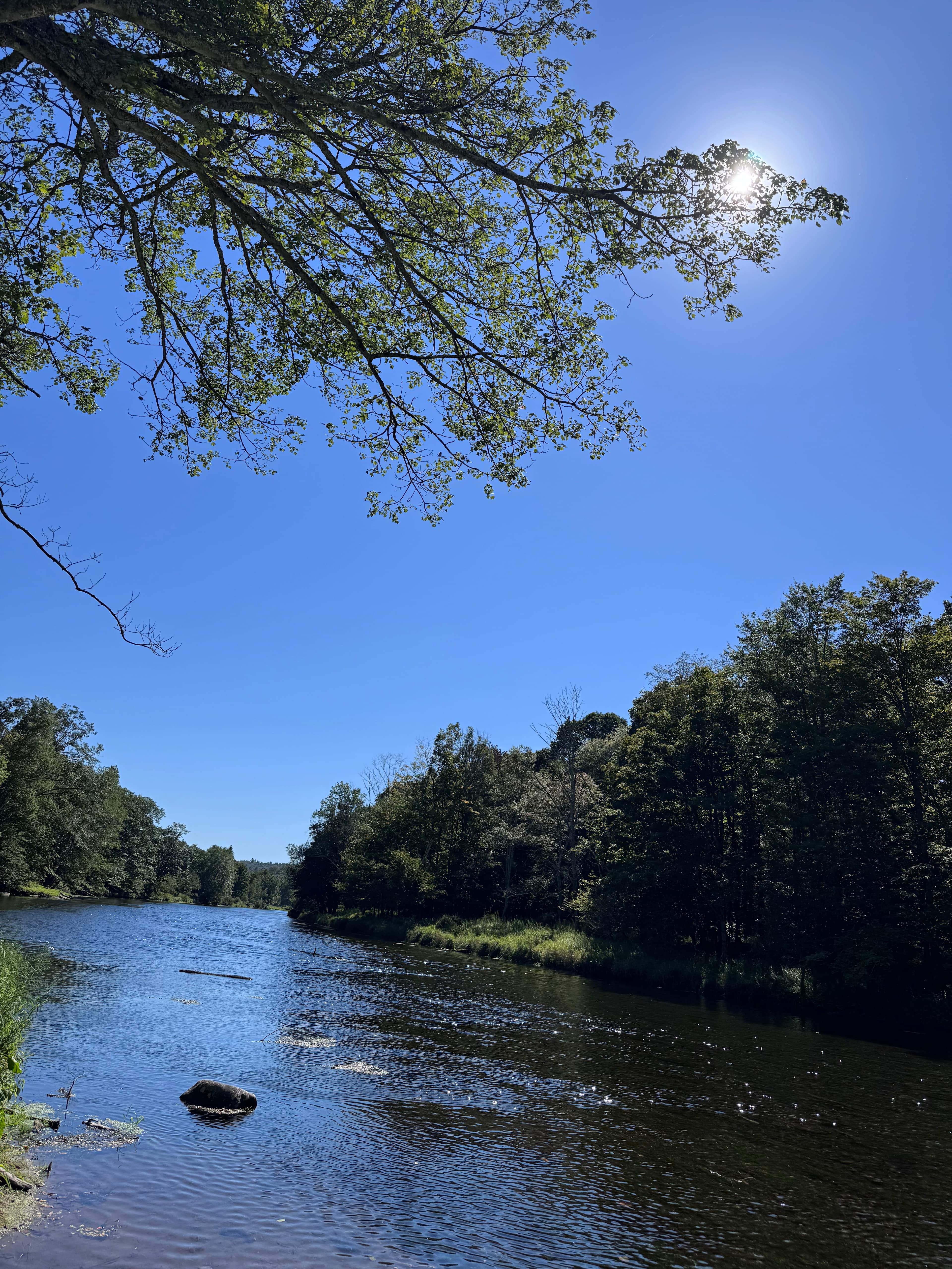 The Neversink River Isle