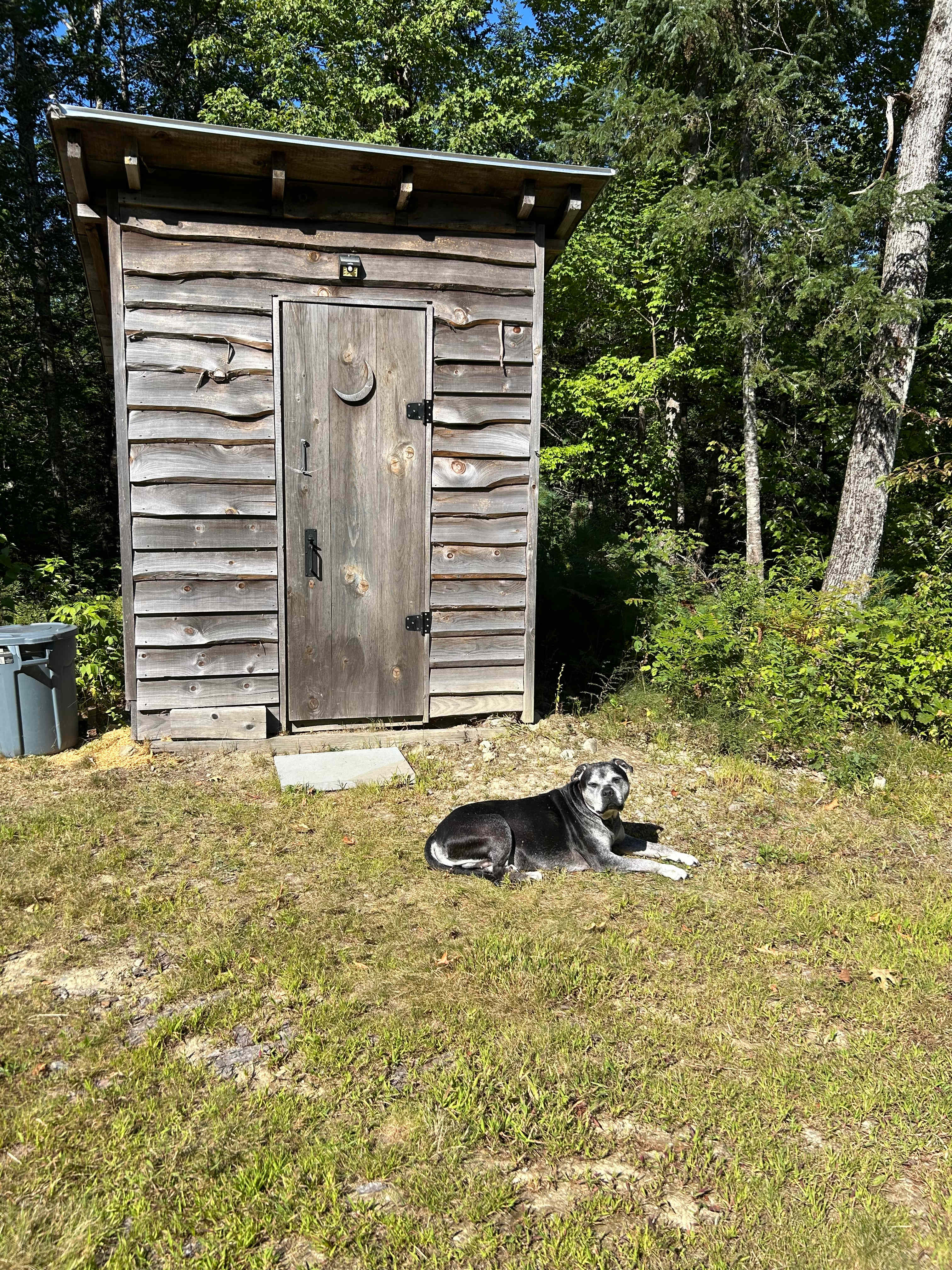 Raven's Rest Tiny Cabin