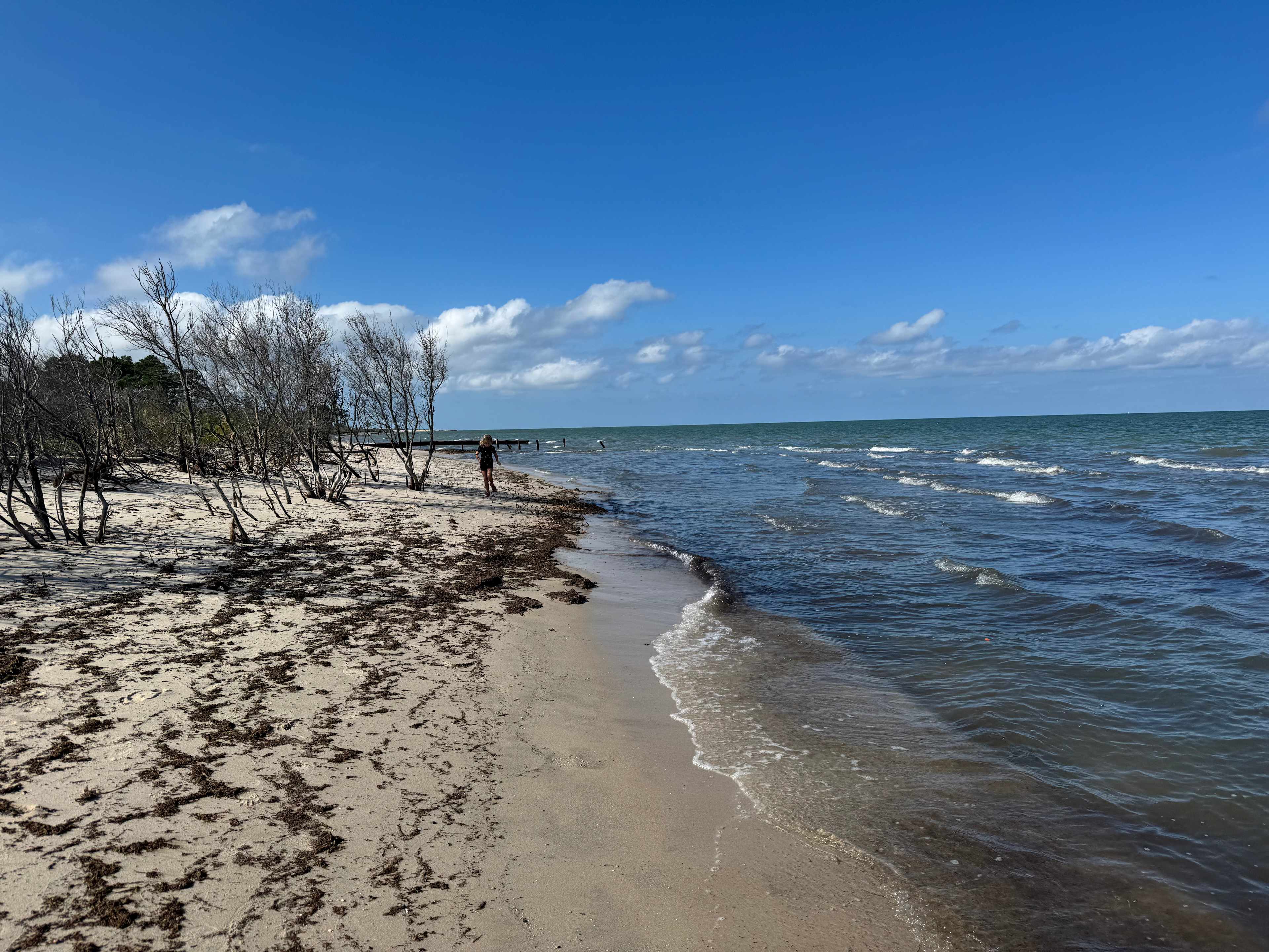 The Guinea Farm, Field, and Forest