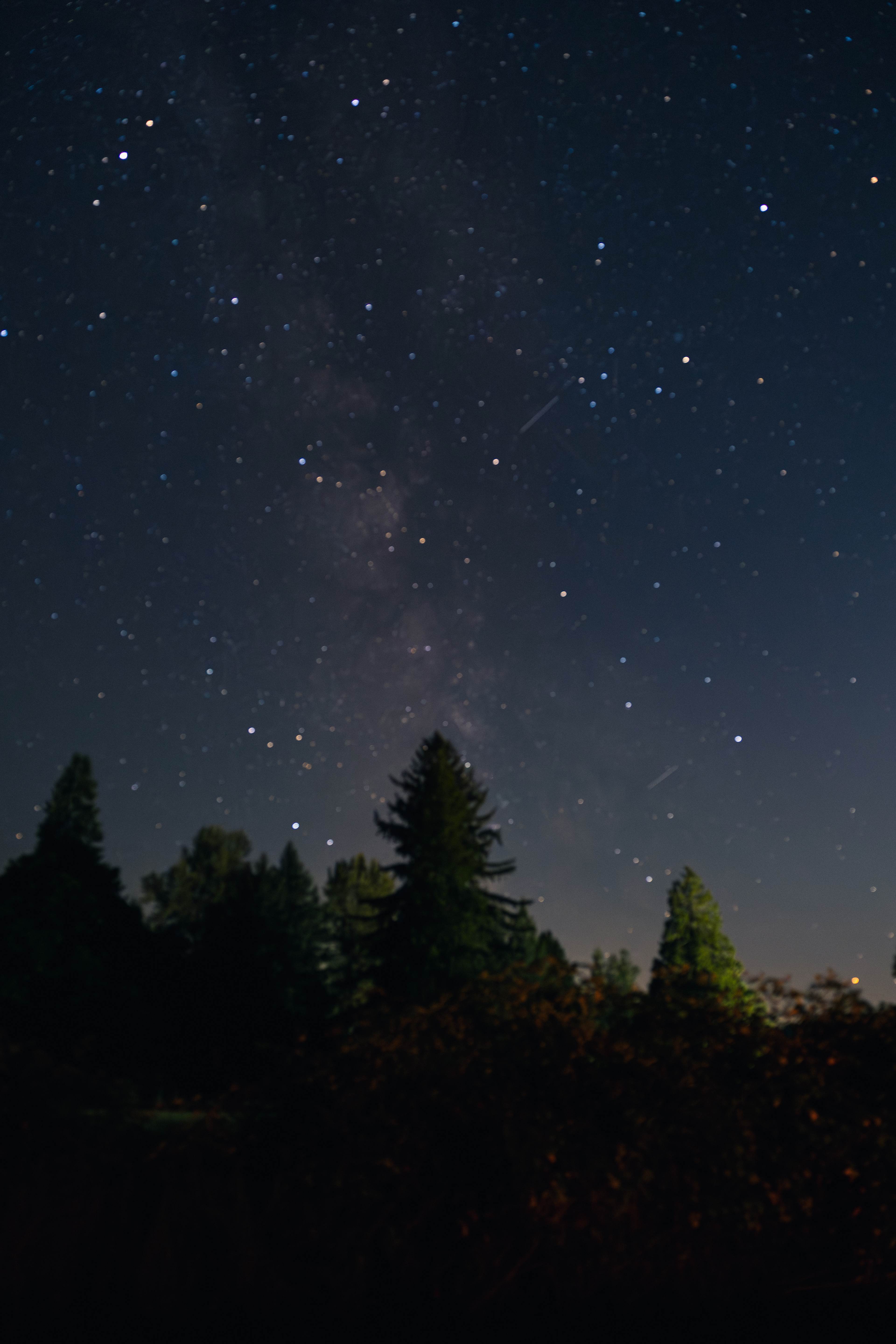 North Eagle Haven @ Mount Baker