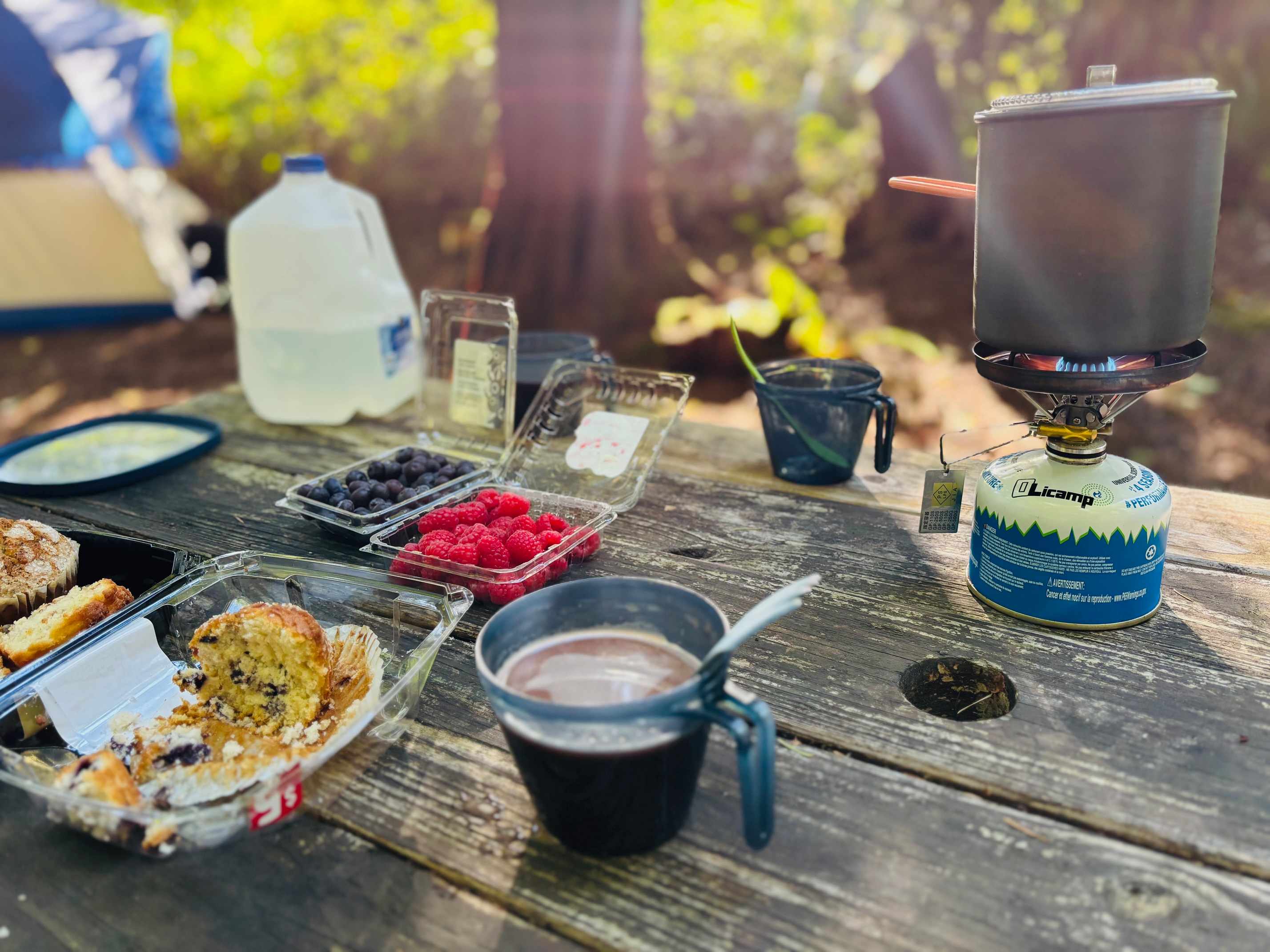 Kragnes Family Farm Mt Baker Camp