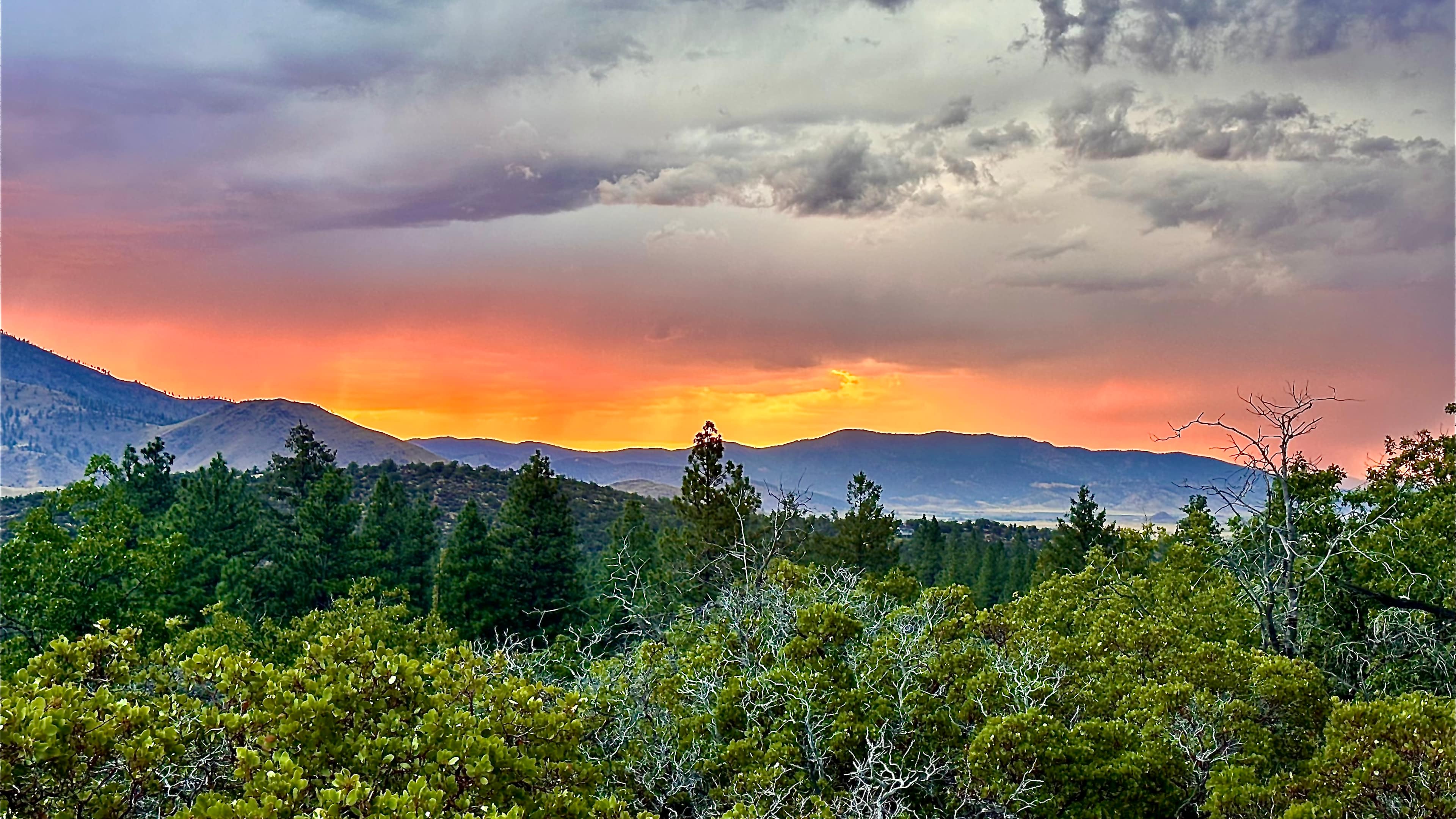 Trailer Lane Campground
