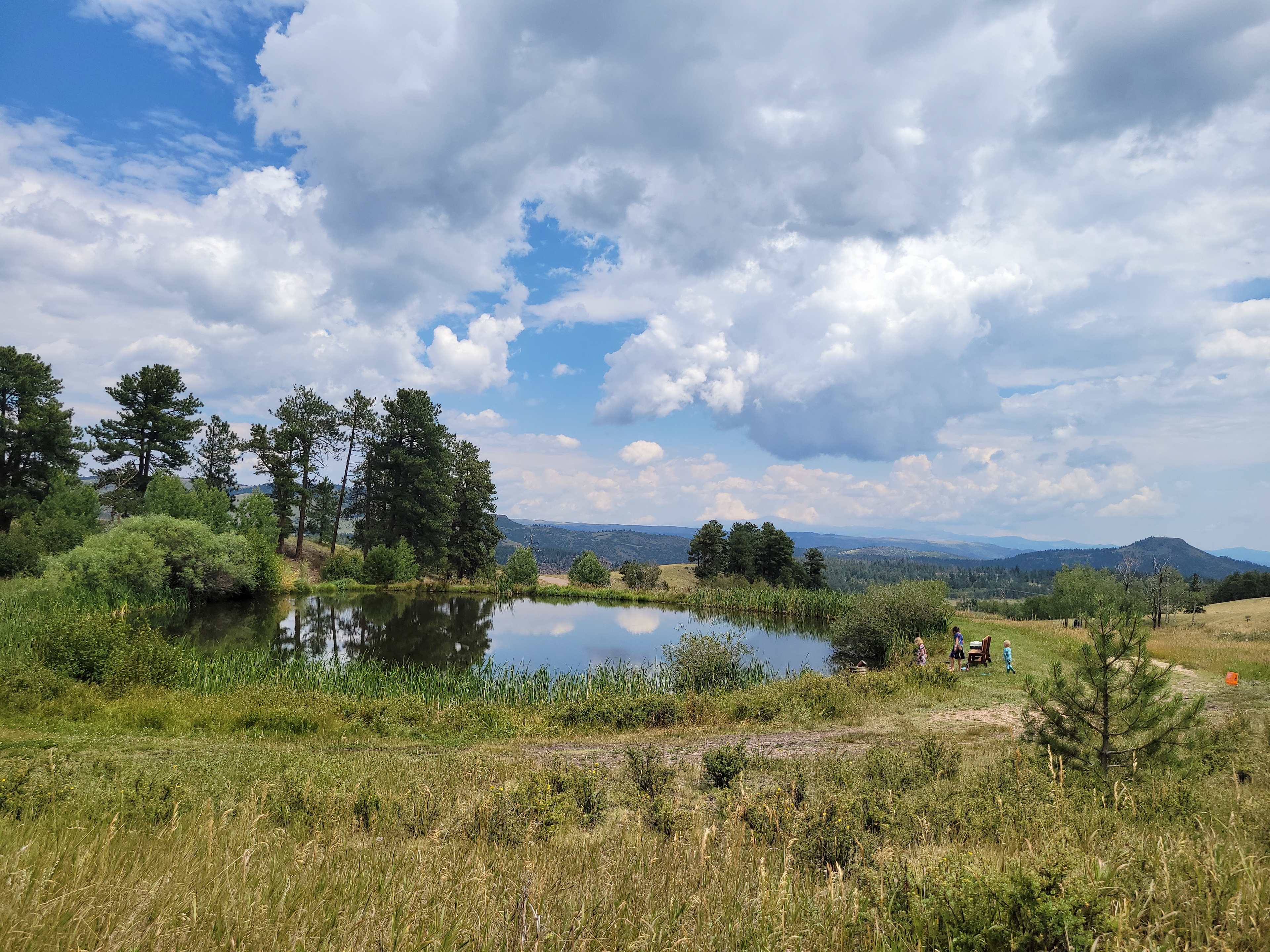 Perfect day at Camp Penguin