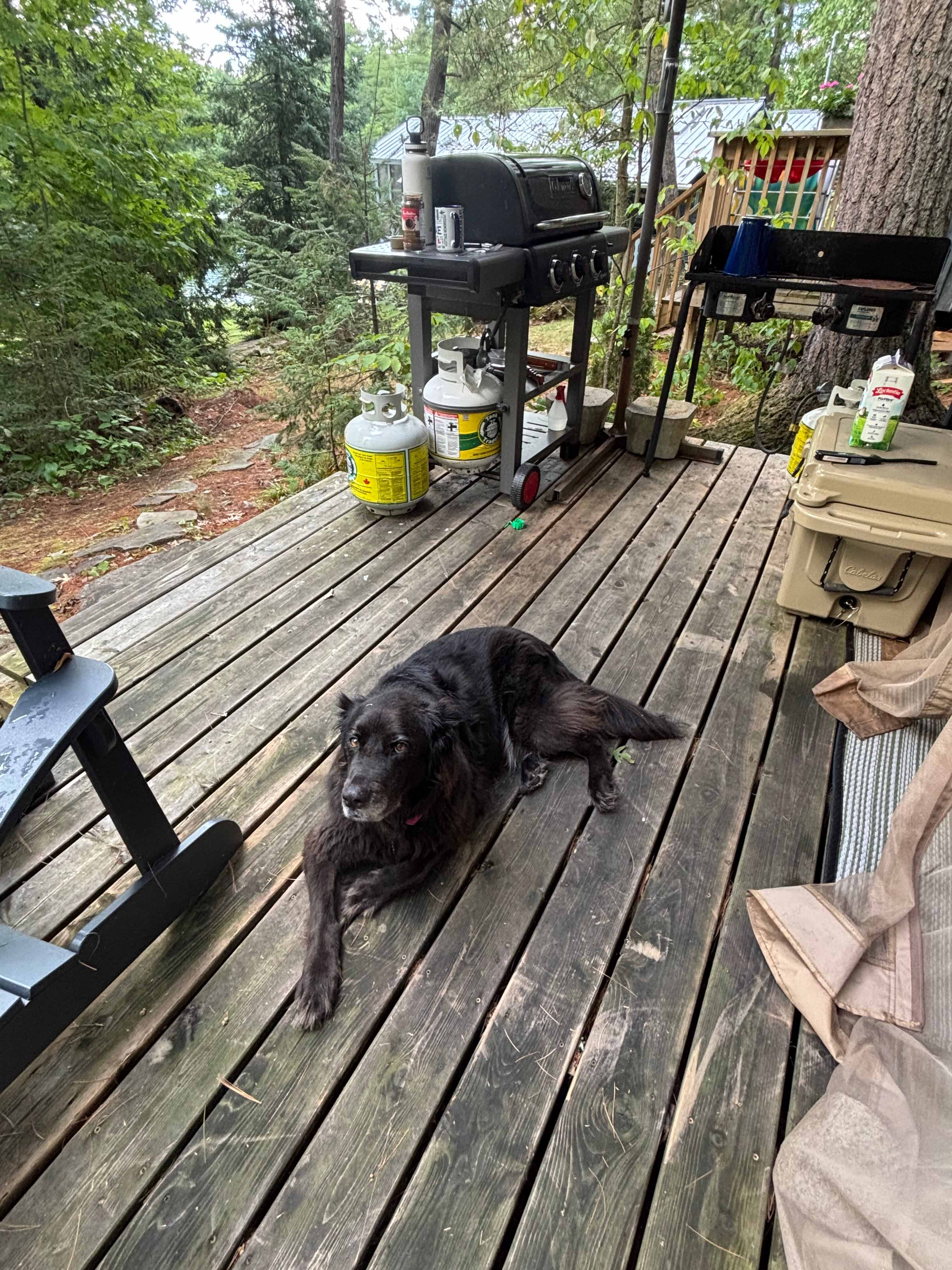 Hanging out with Oakley