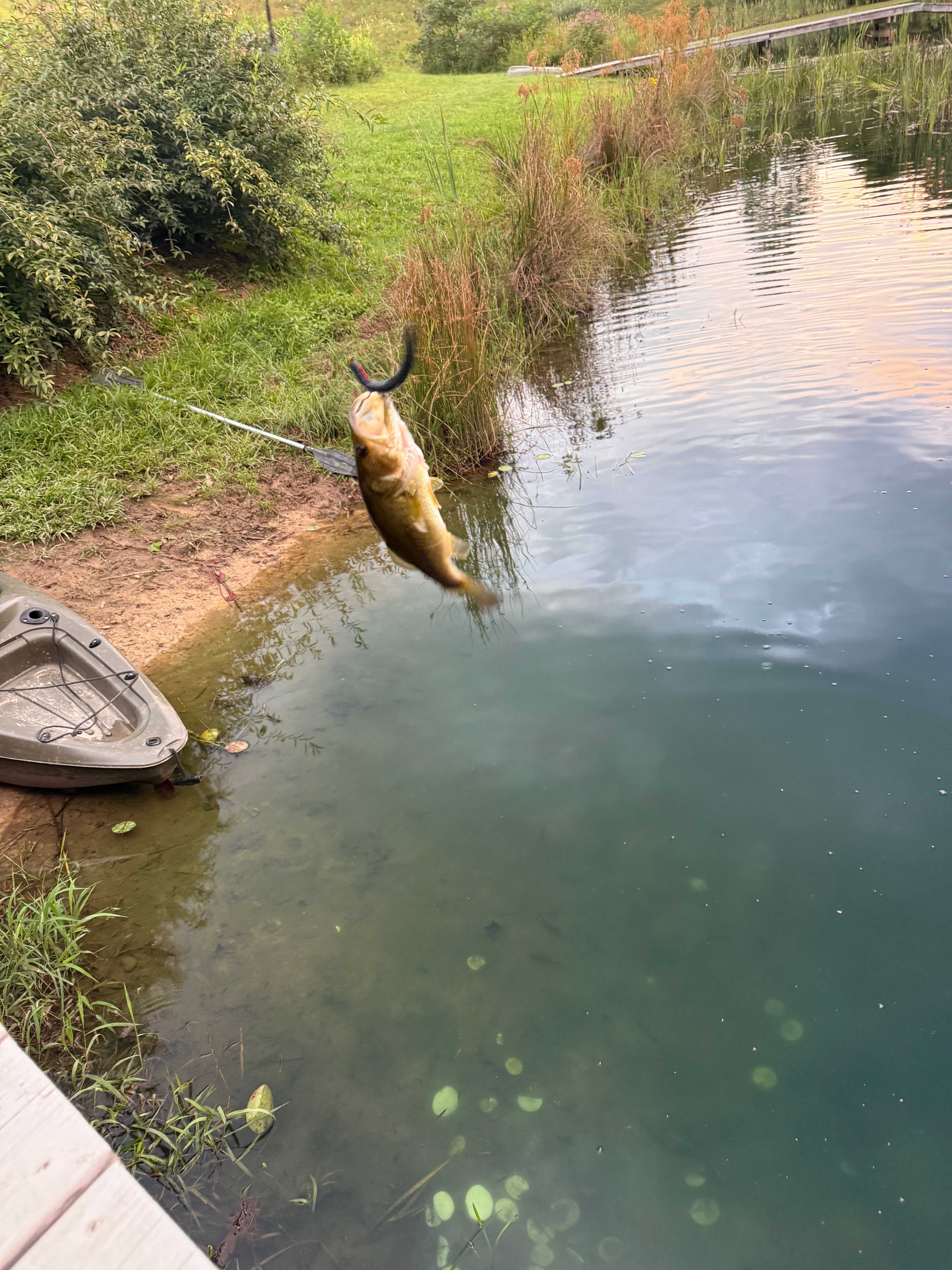 The Harrican Lakehouse